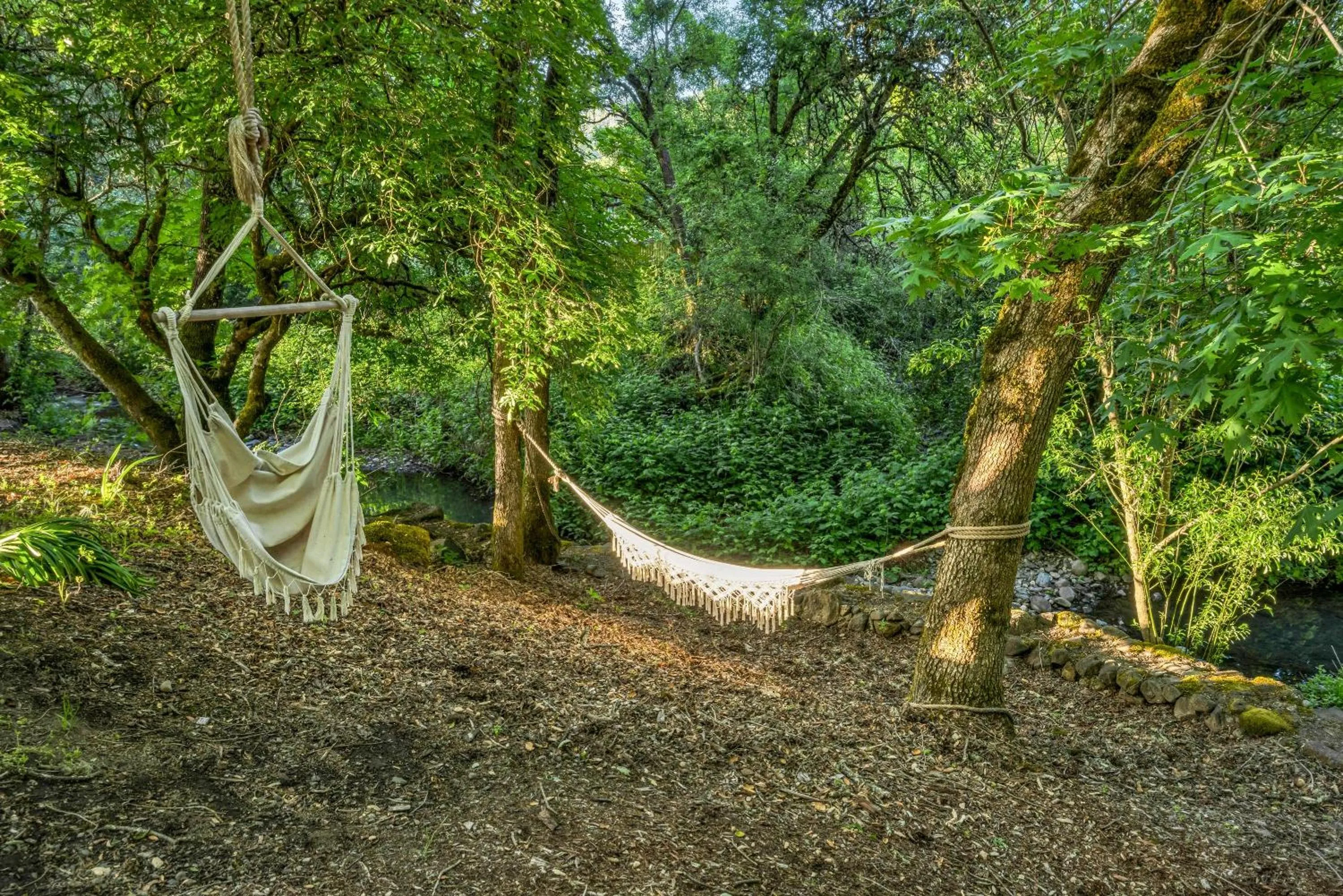 Property building in The Calistoga Cottage Wooded And Sunny 5 Mins To Downtown