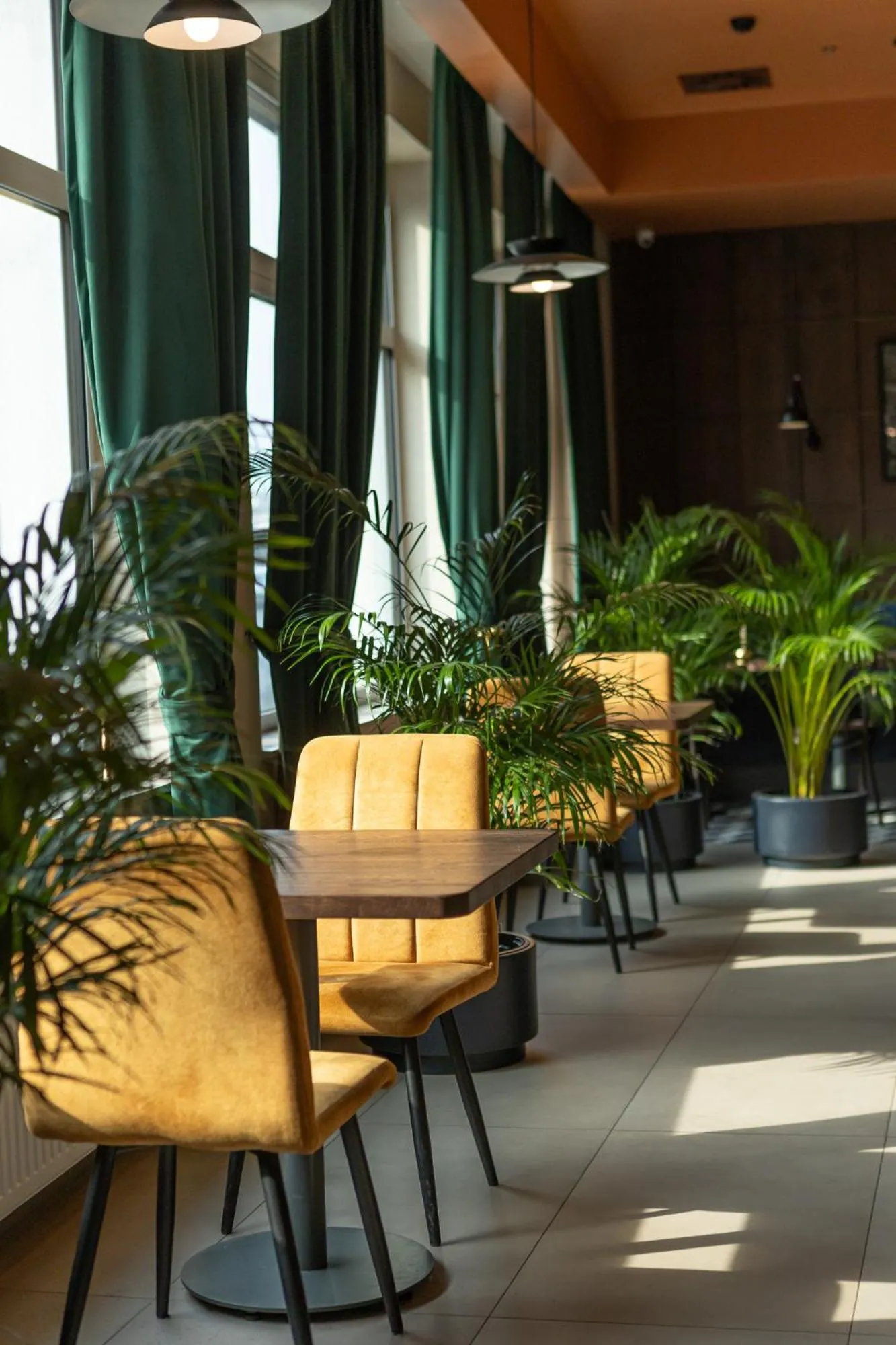 Restaurant/places to eat in Gold Hotel