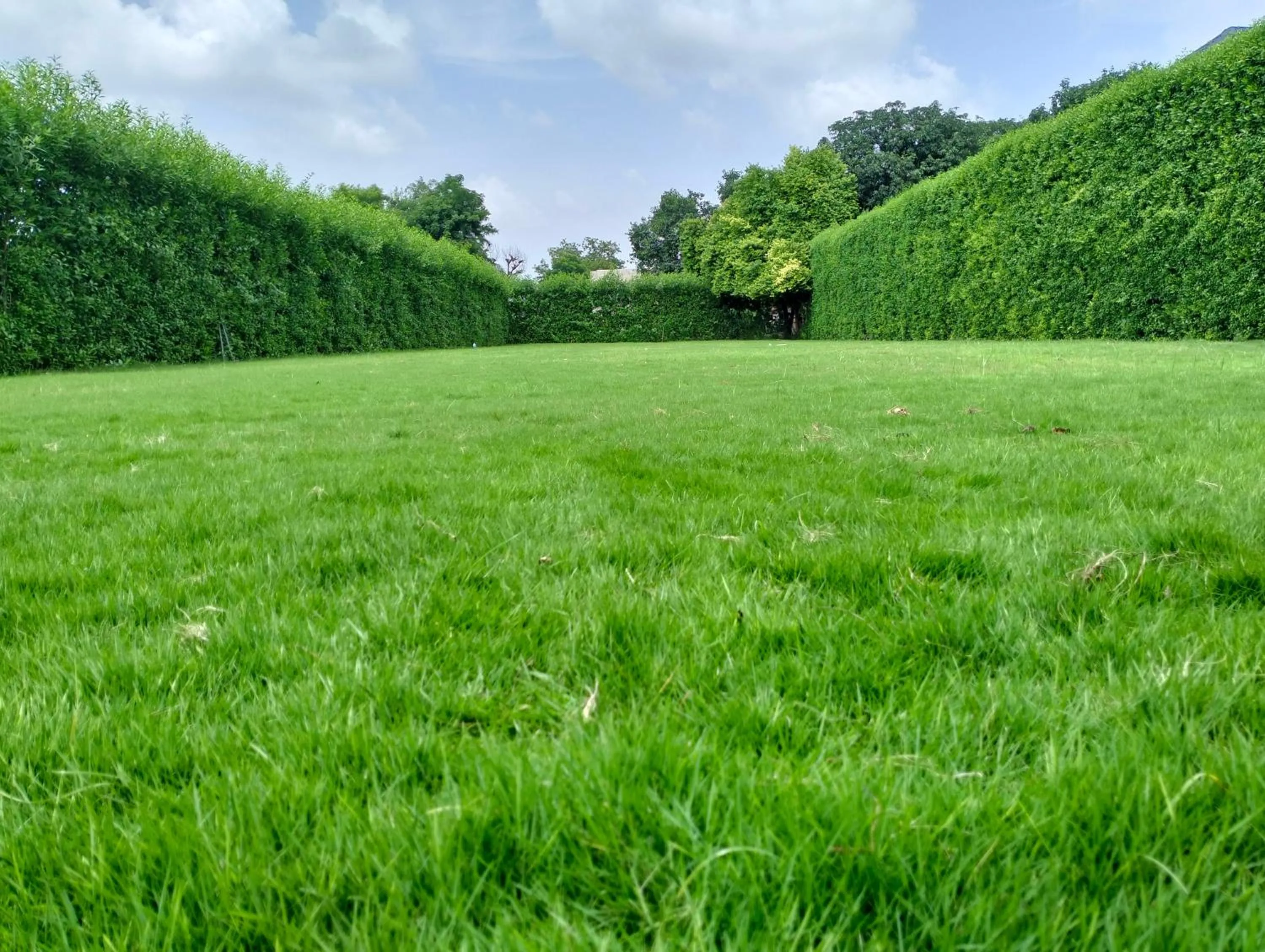 Garden view in Nature Retreat Resorts- Life in Nature