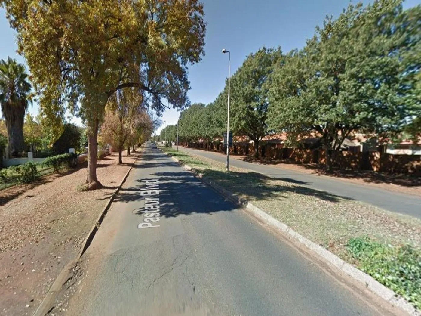 Neighbourhood in House 205