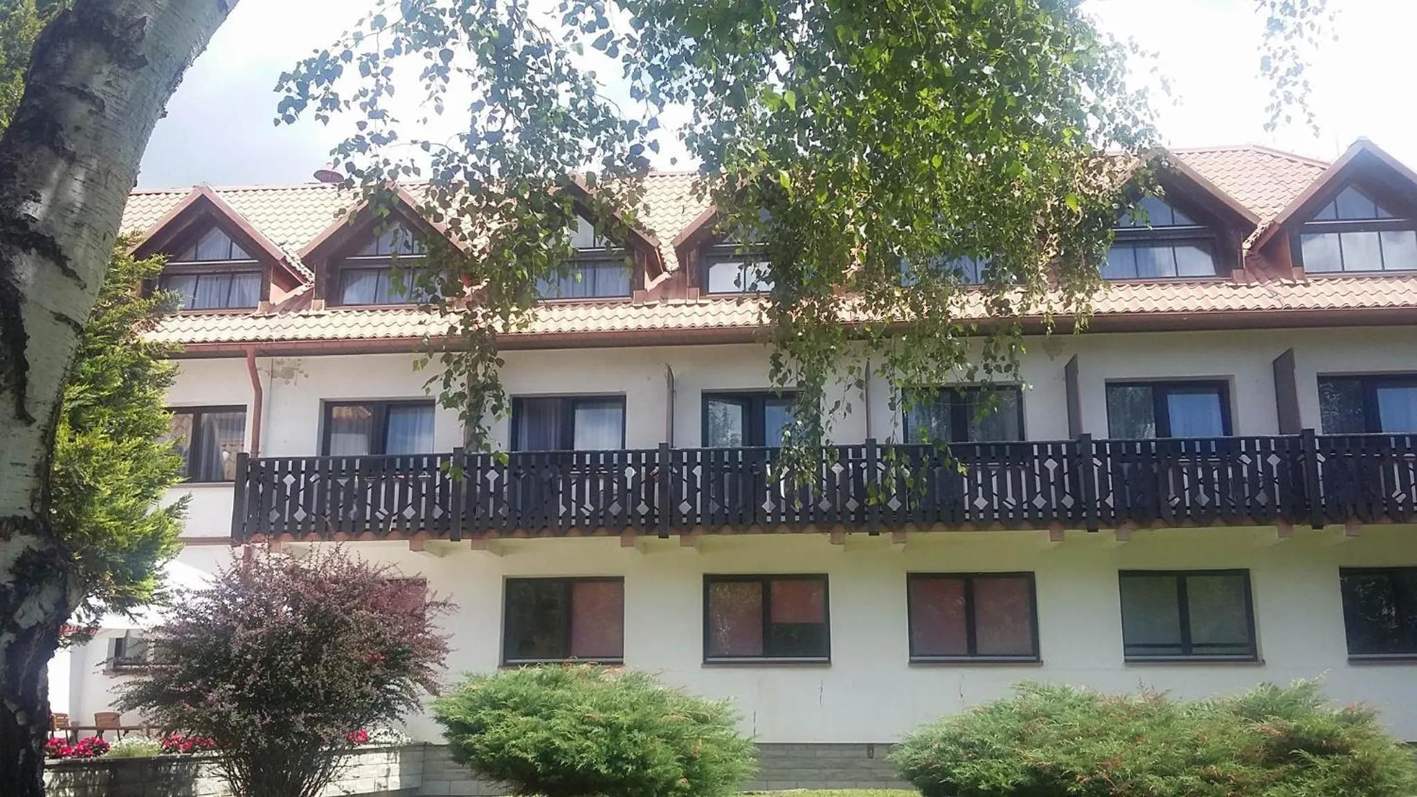 Property building in Geovita Muszyna