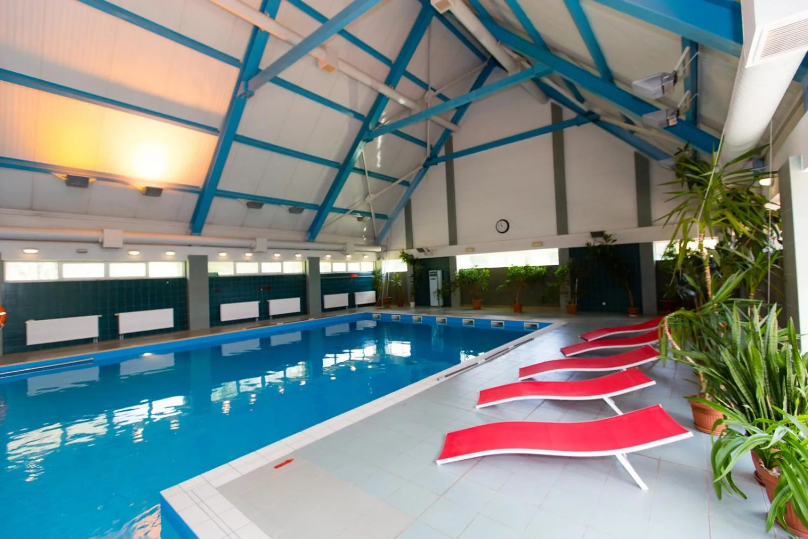 Swimming pool in Geovita Muszyna