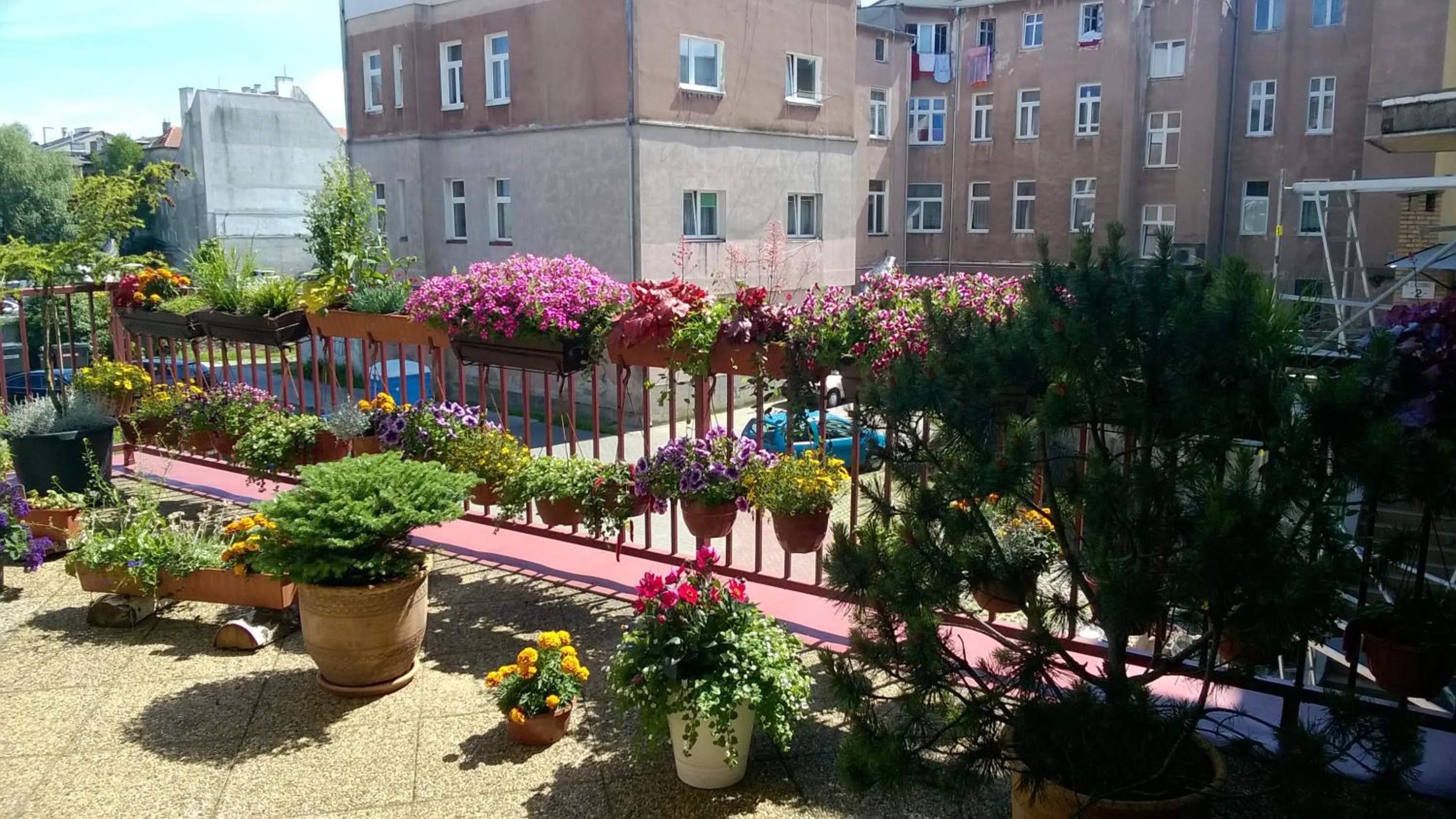 Property building in Hotel Ottaviano