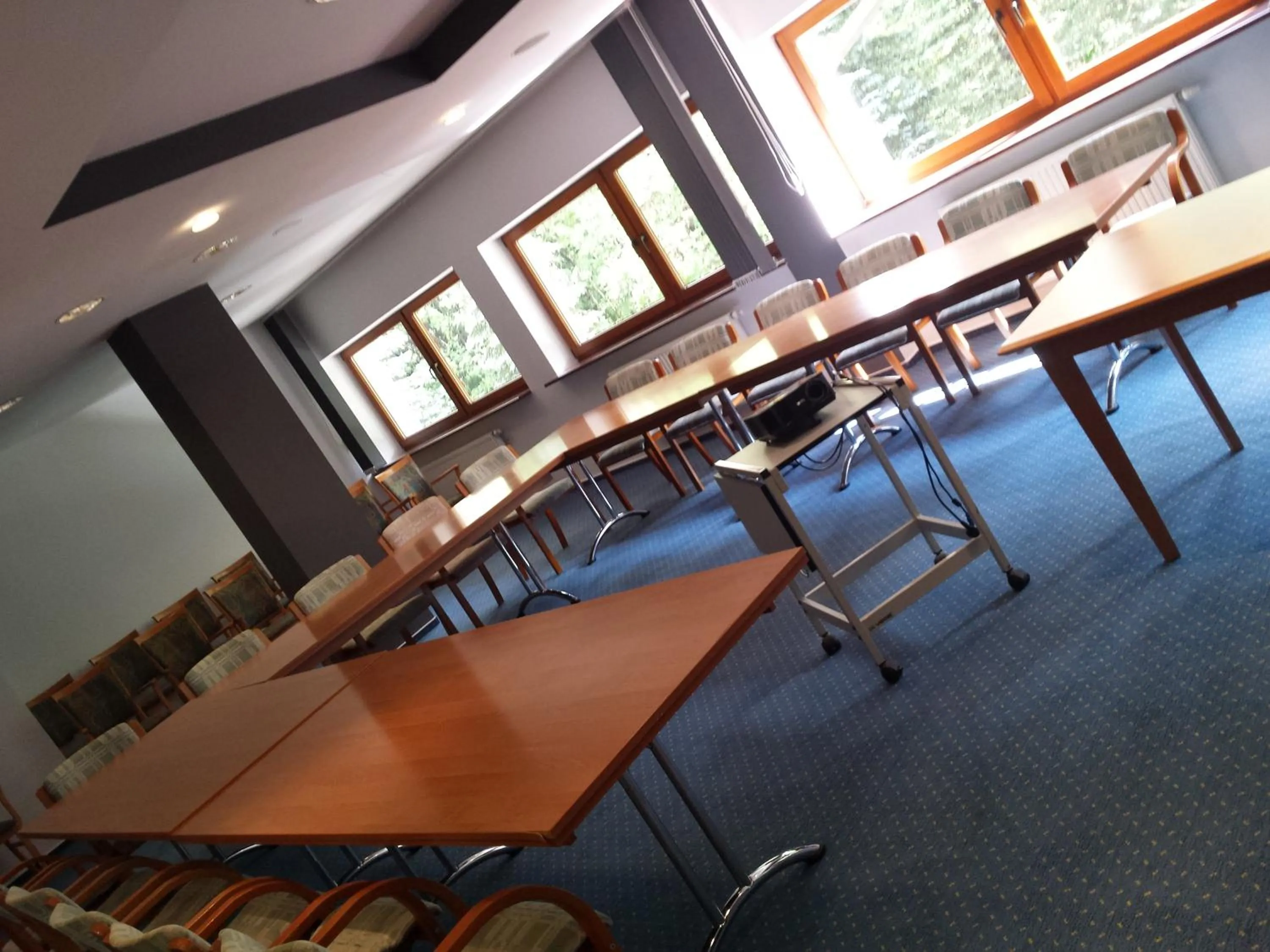 Meeting/conference room in Geovita Zakopane