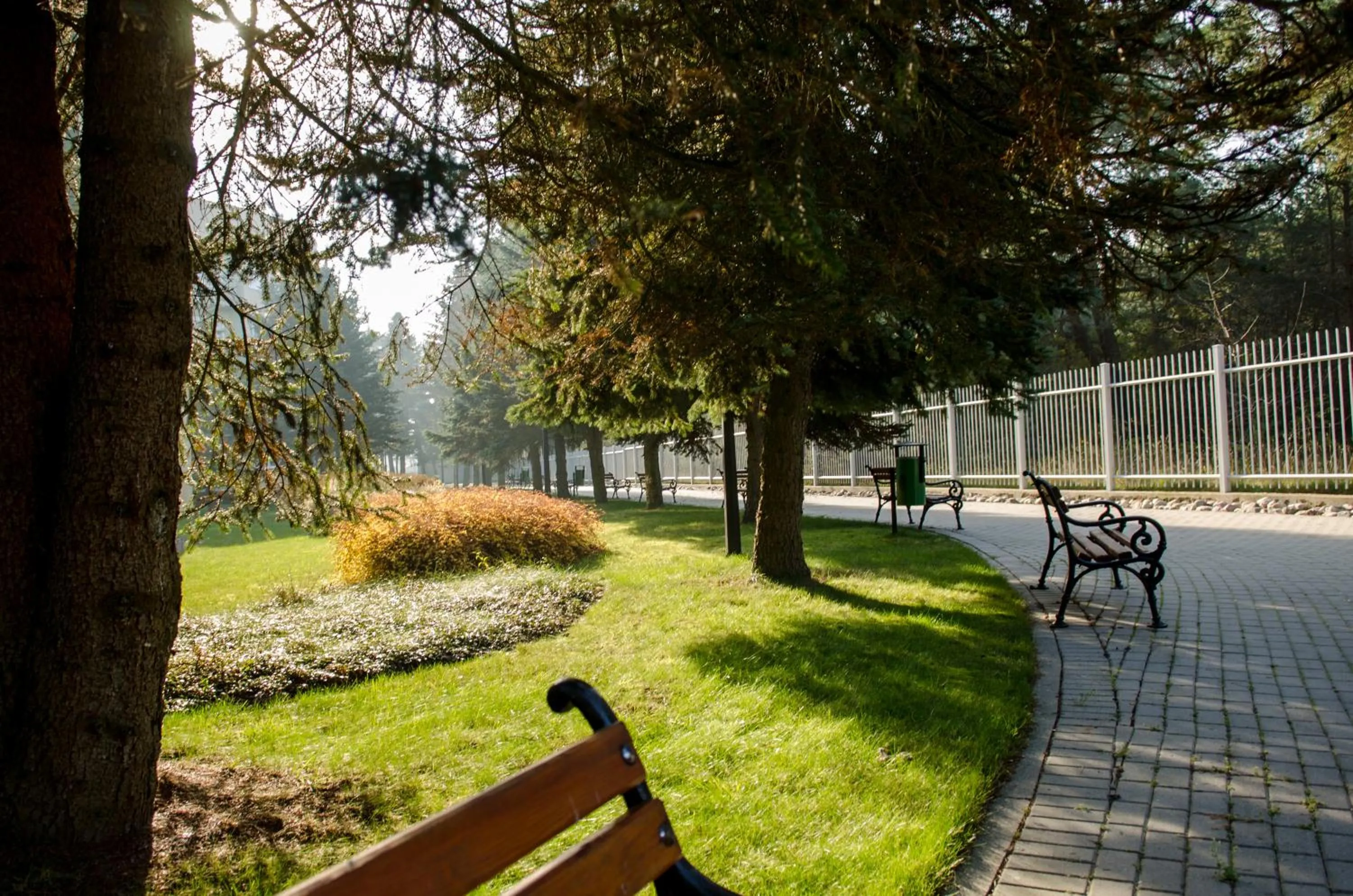 Day in Hotel Senator