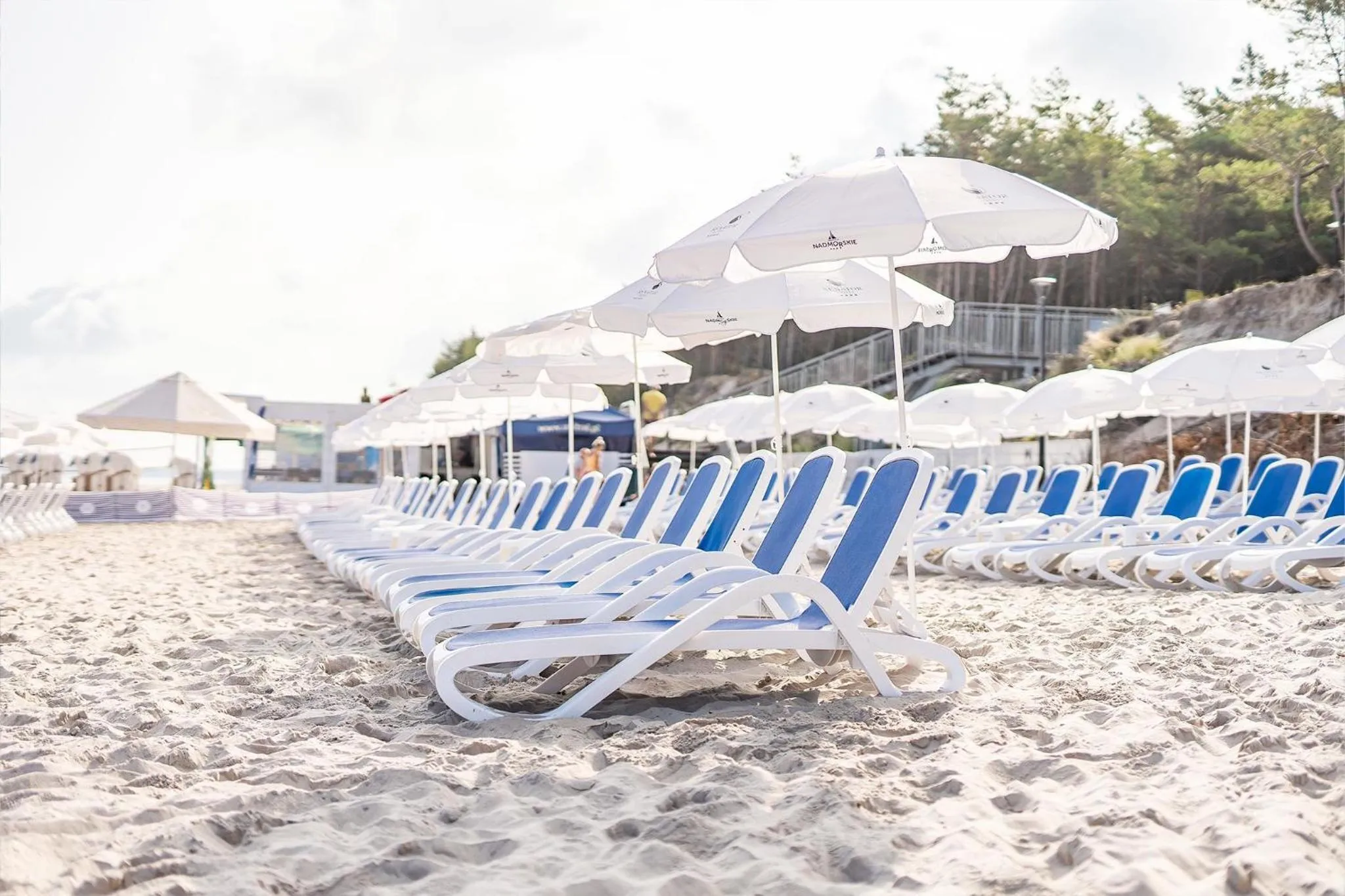 Beach in Hotel Senator