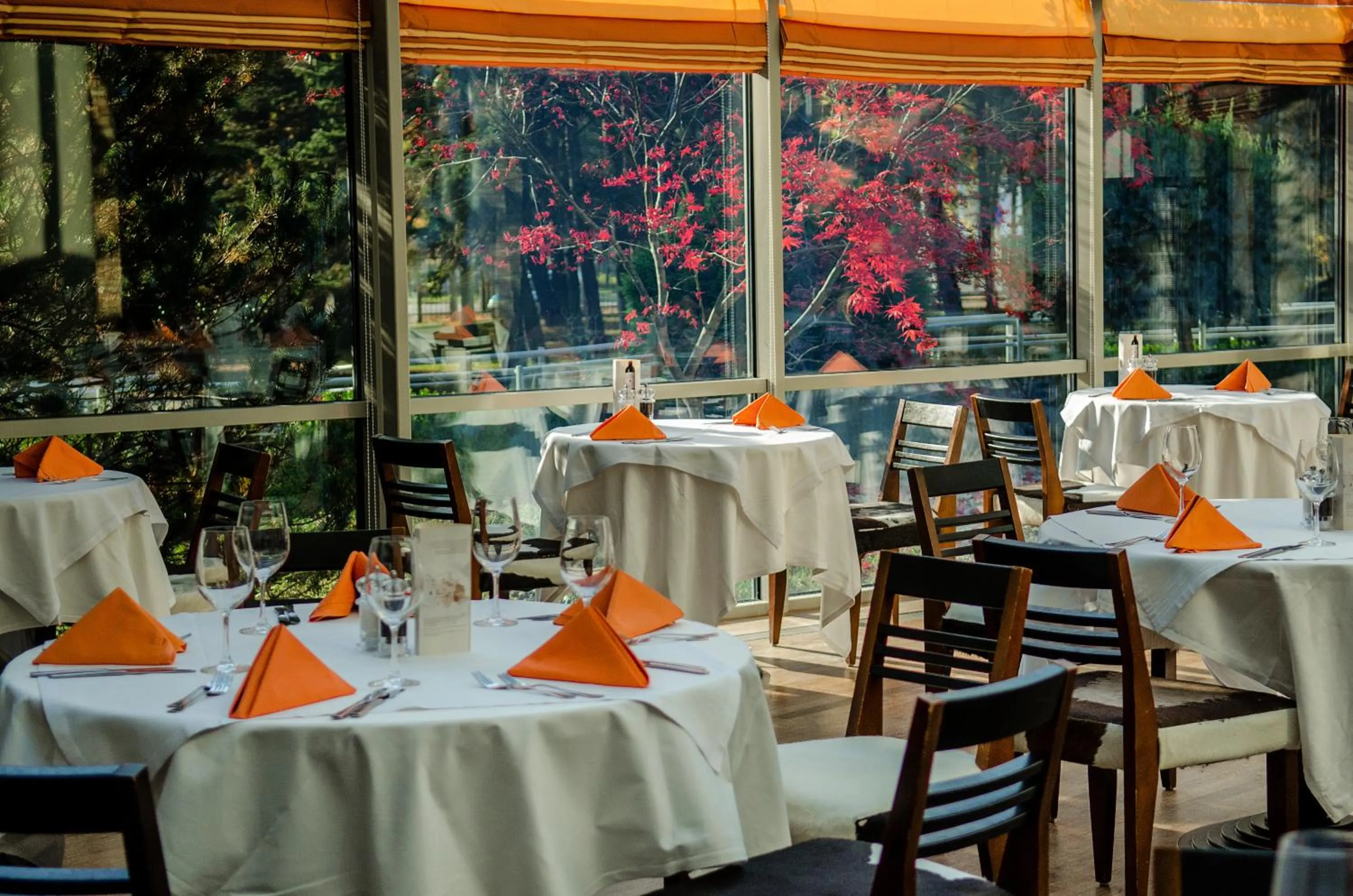 Restaurant/places to eat in Hotel Senator