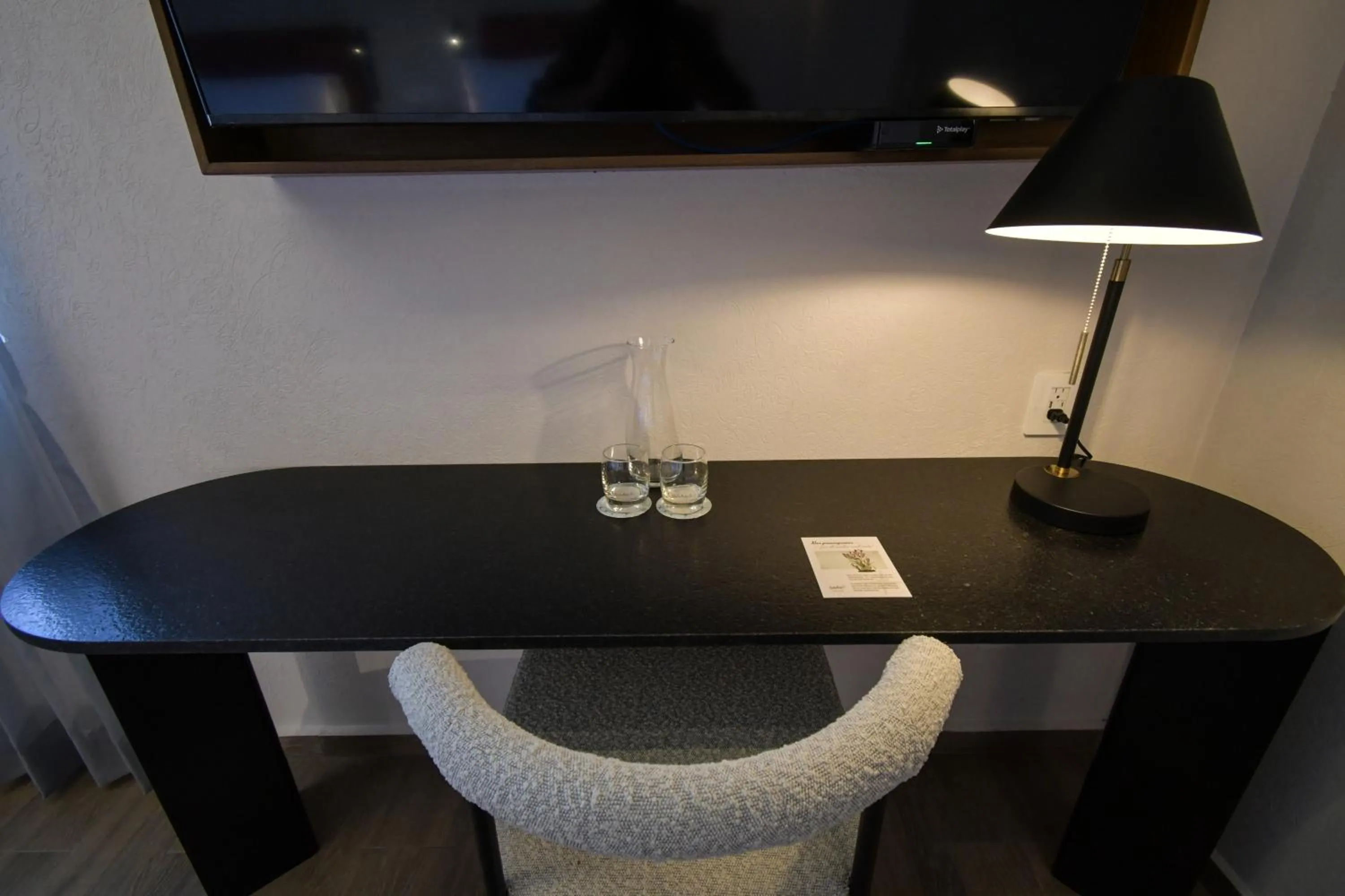 TV and multimedia in Expo Satelite 2750 Hotel & Suites