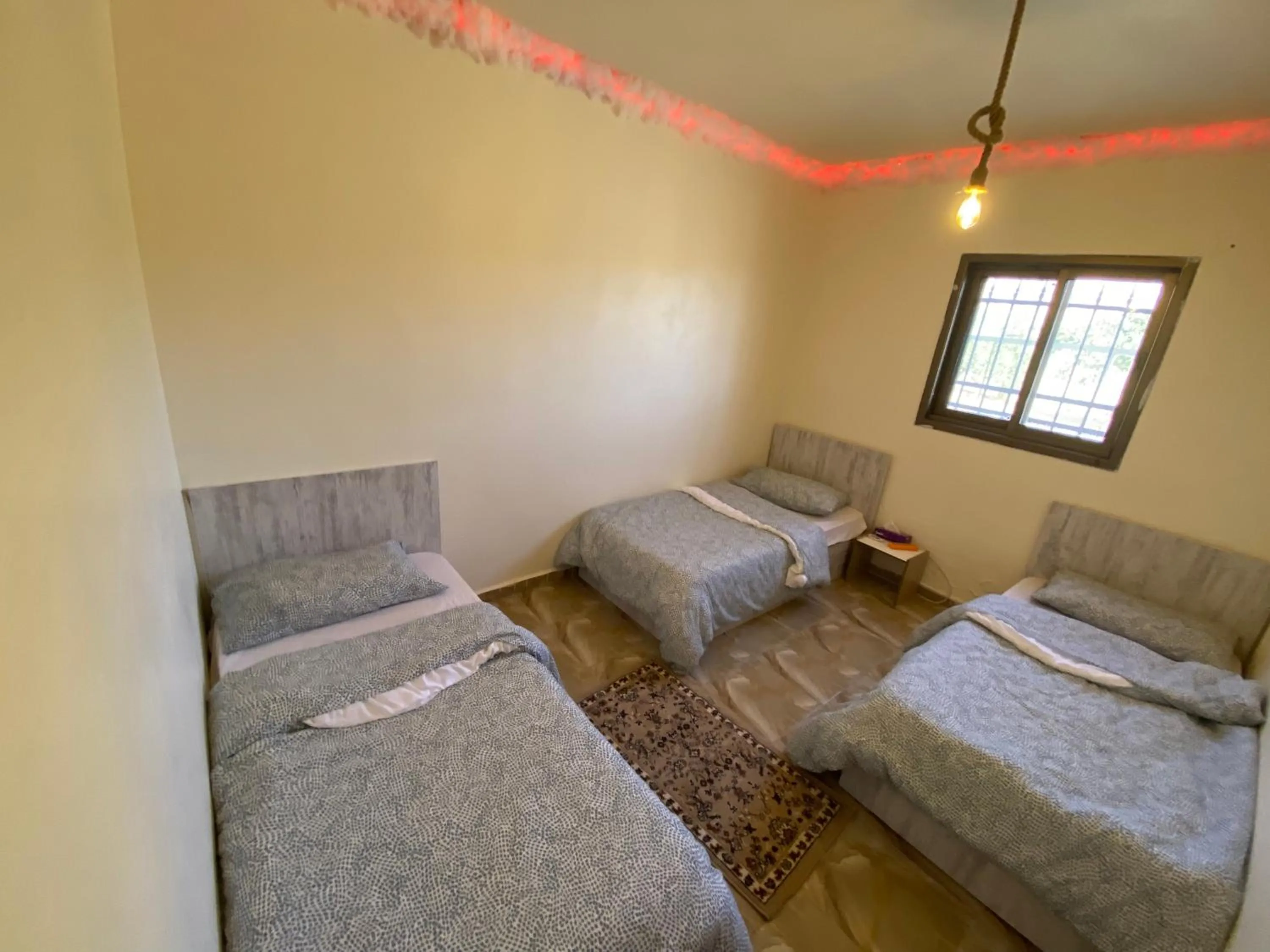 Bed in Nabati hostel