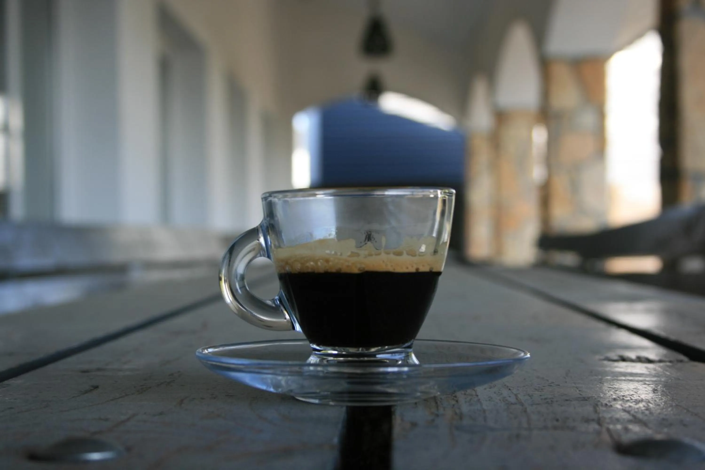 Garden view in Hotel Junior 2