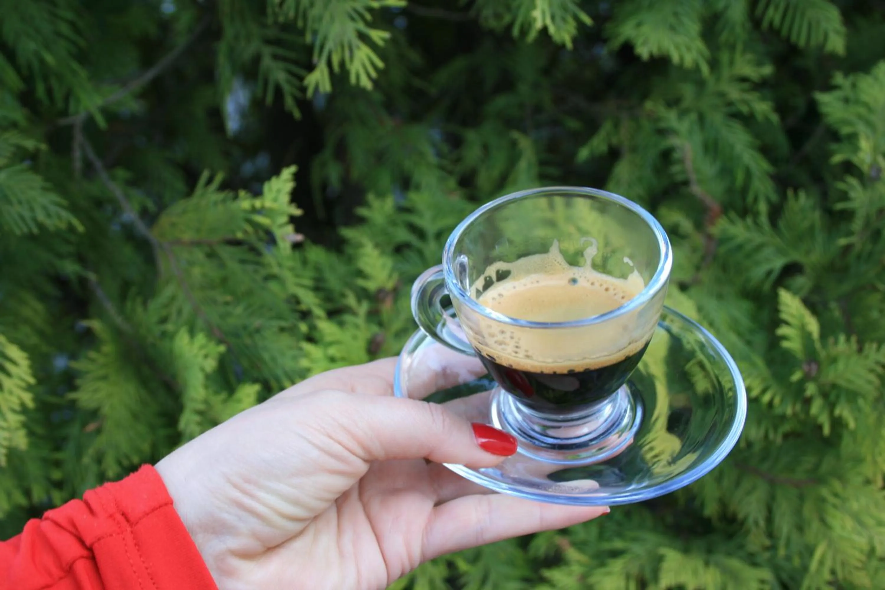 View (from property/room) in Hotel Junior 2