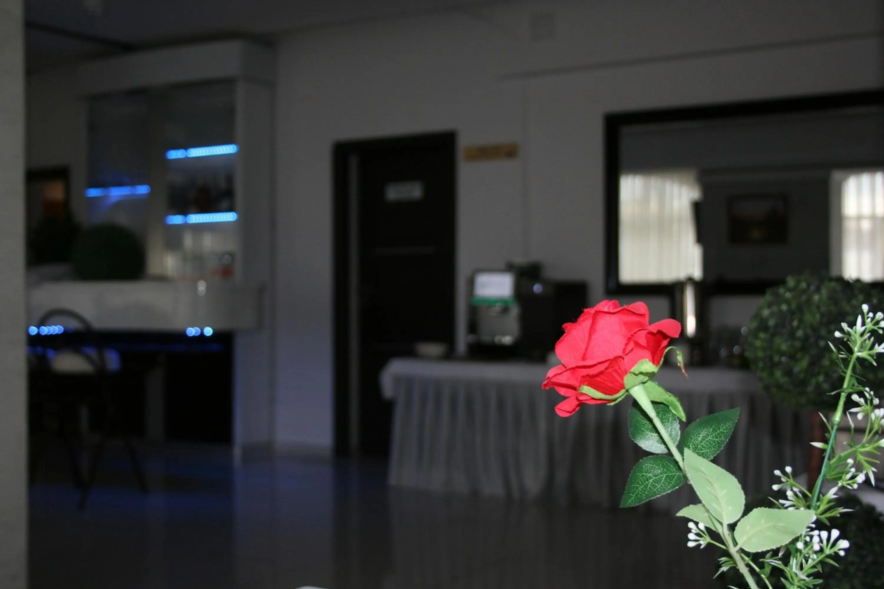 Restaurant/places to eat in Hotel Junior 2