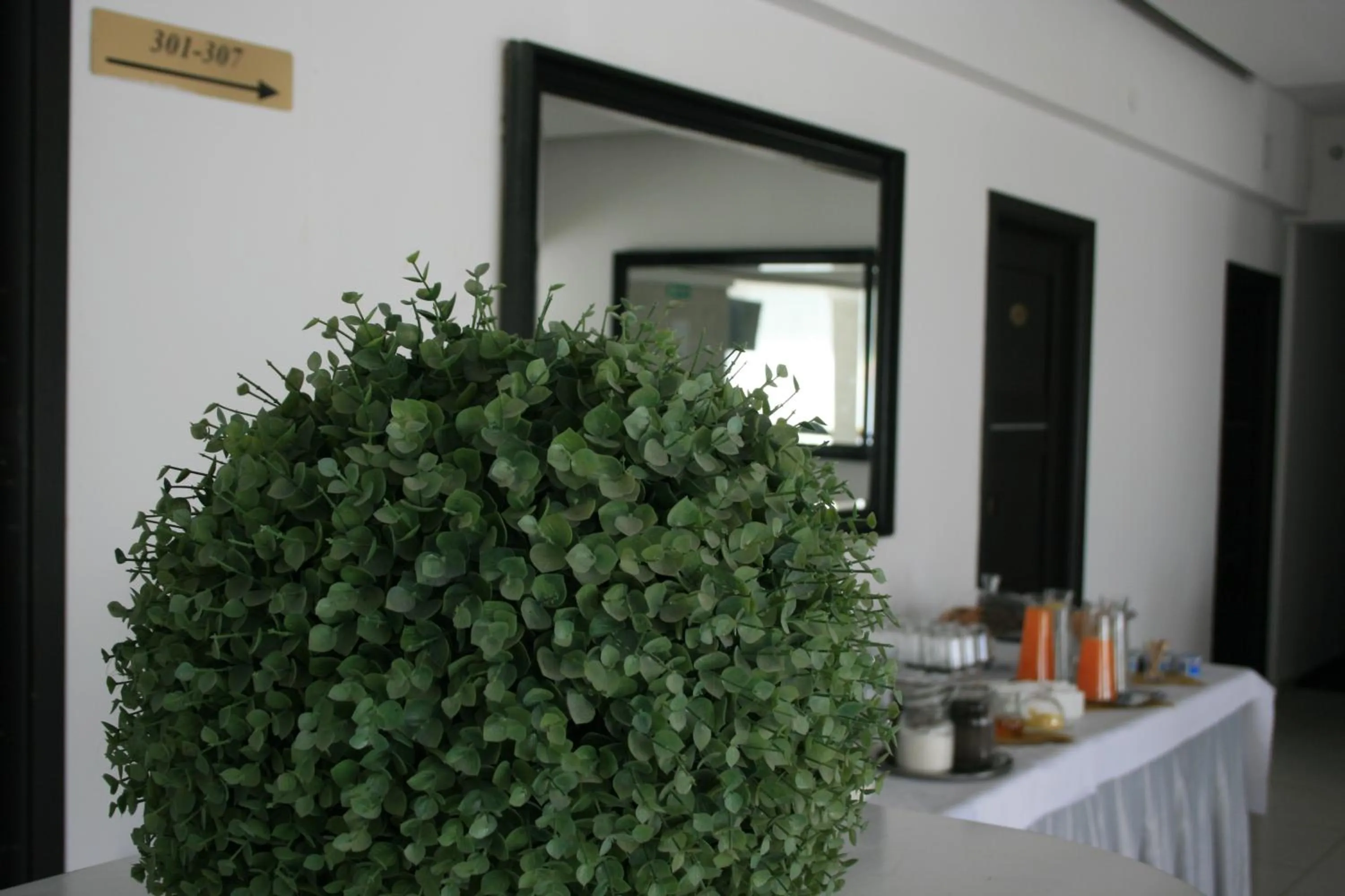 Food and drinks in Hotel Junior 2