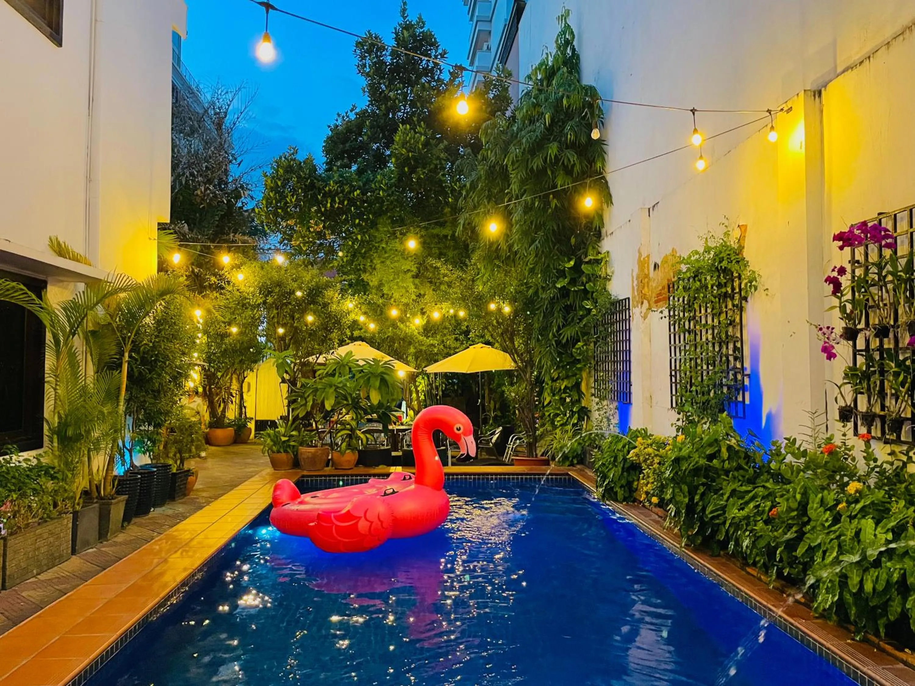 Swimming pool in Birdcage Boutique