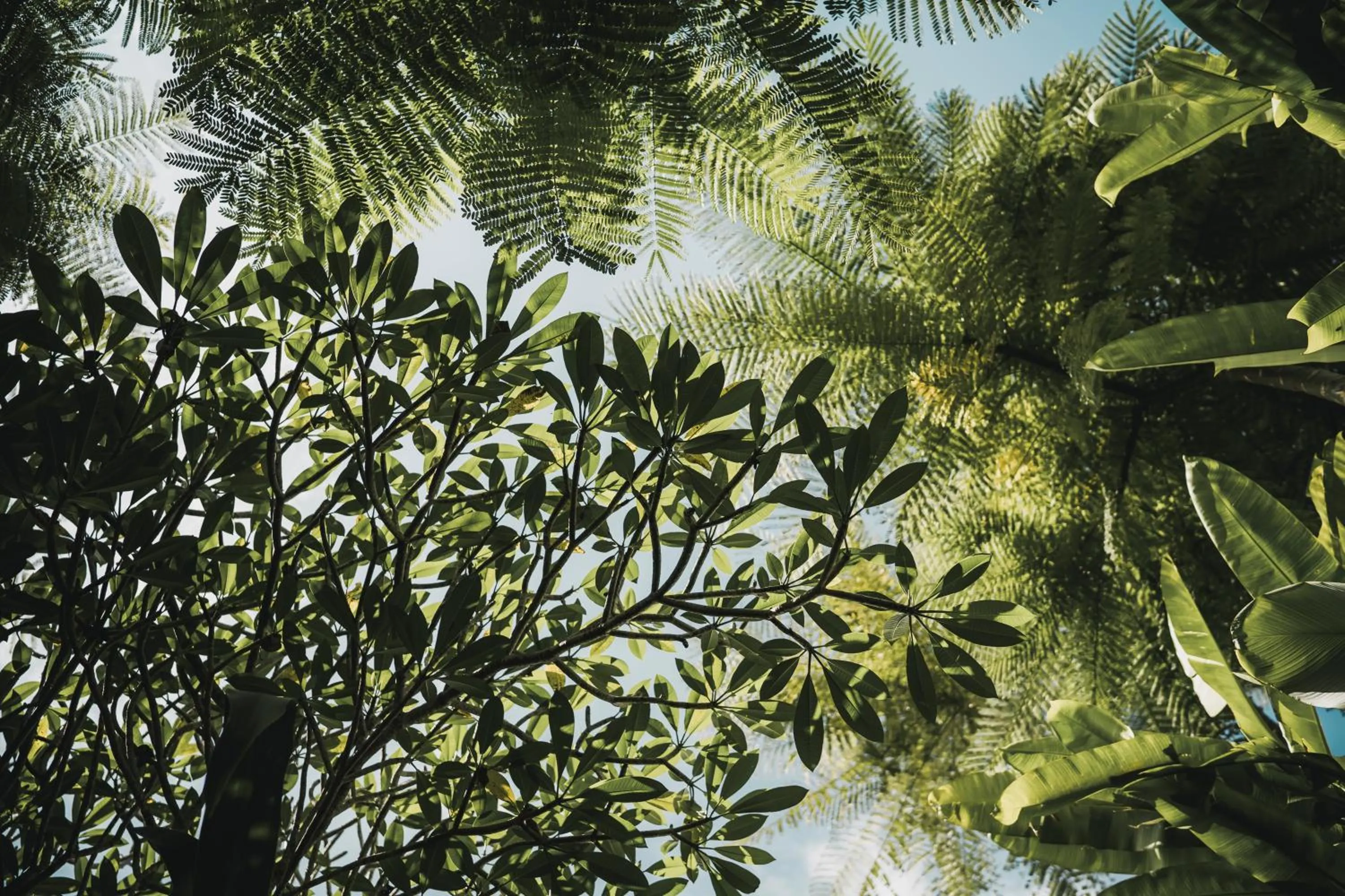 Day in The Retreat at Kharista by Ekosistem