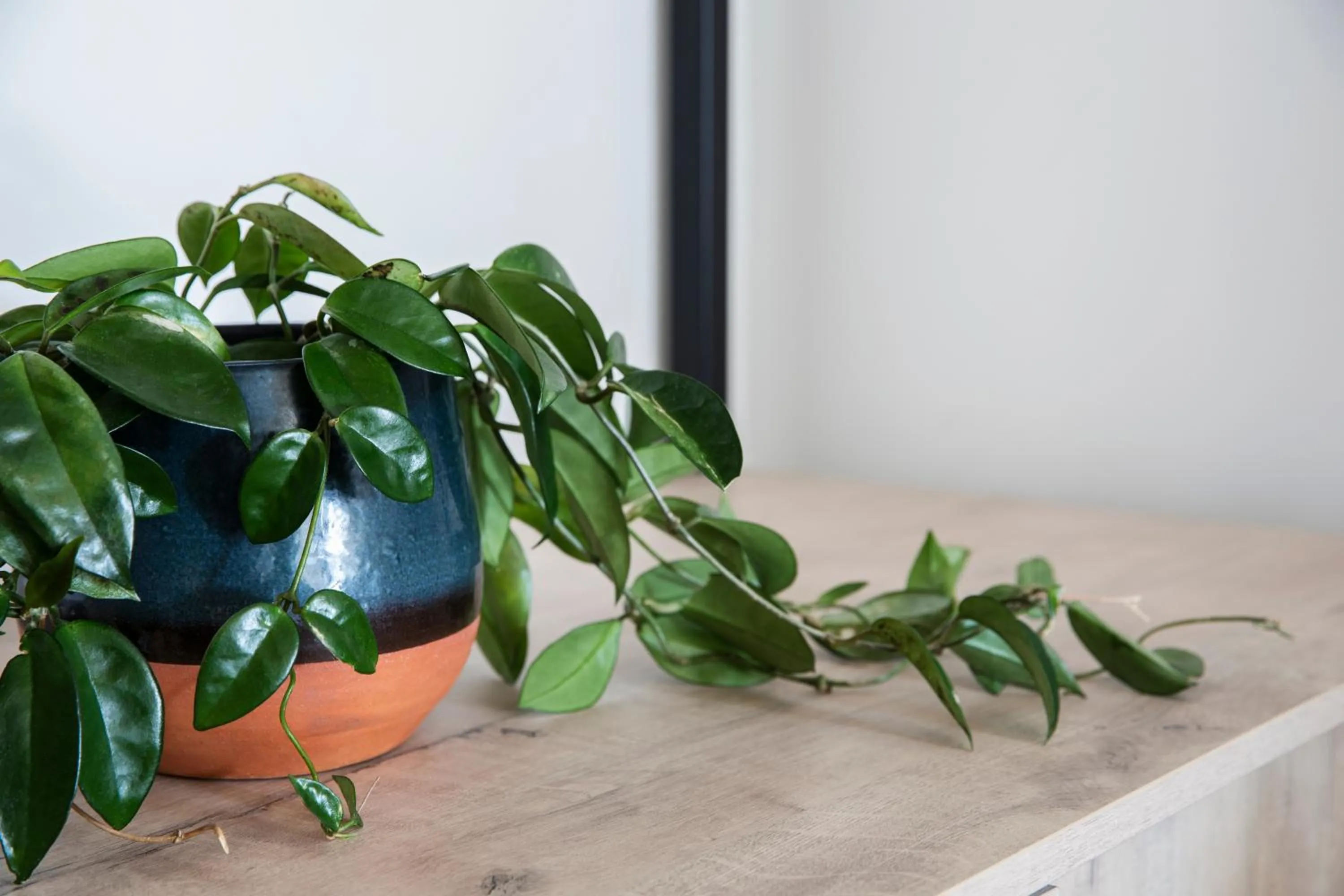 Decorative detail in Home Suite Hotels Station House