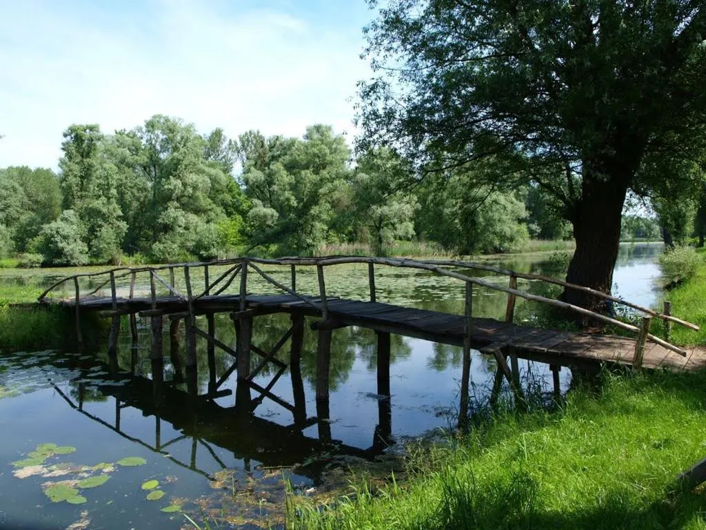 Natural landscape in Apartmani KA Sveti Martin