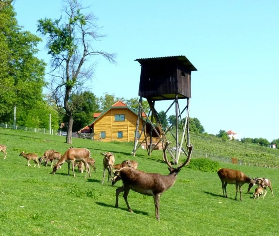 Animals in Apartmani KA Sveti Martin