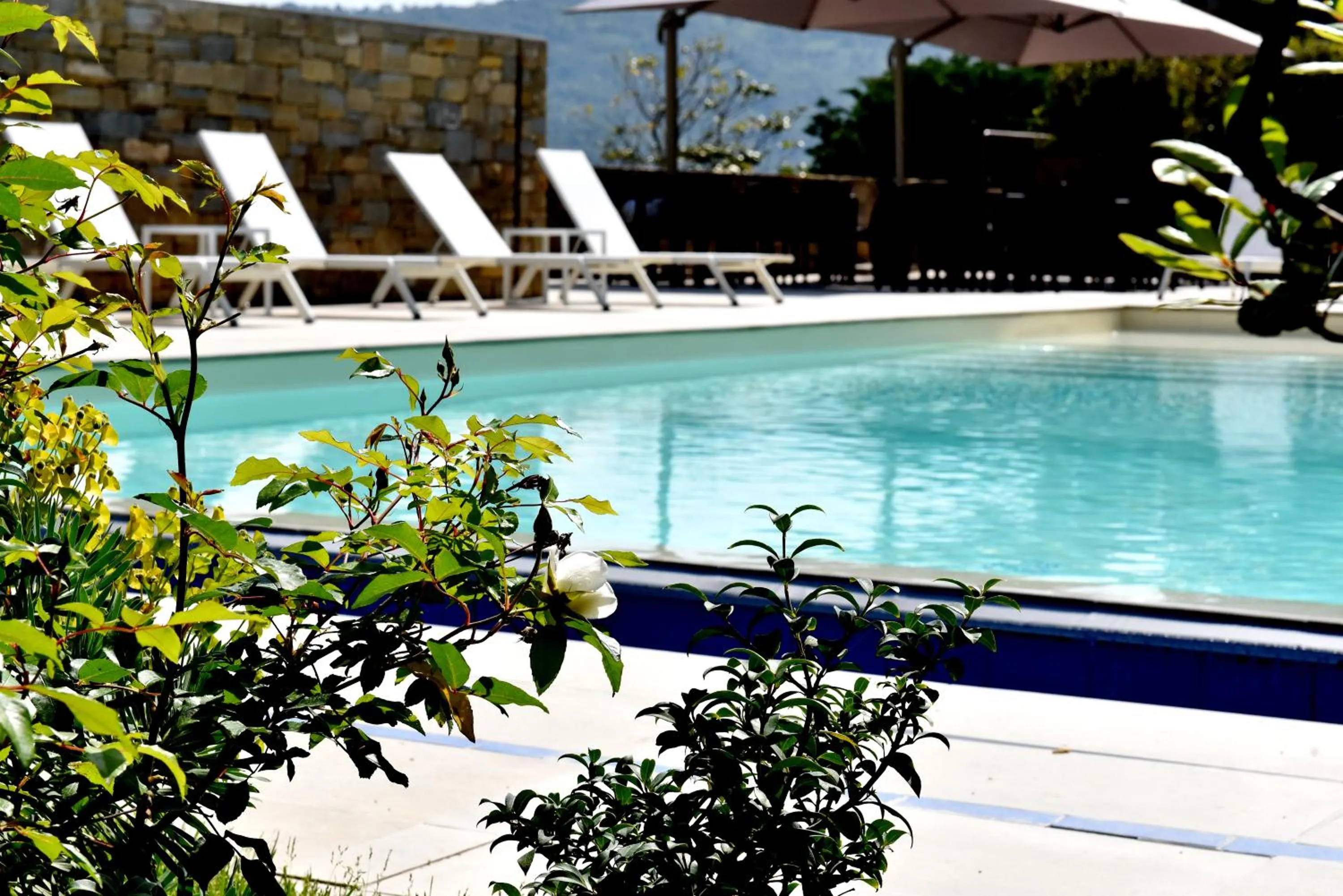 Swimming pool in Torre Difyos