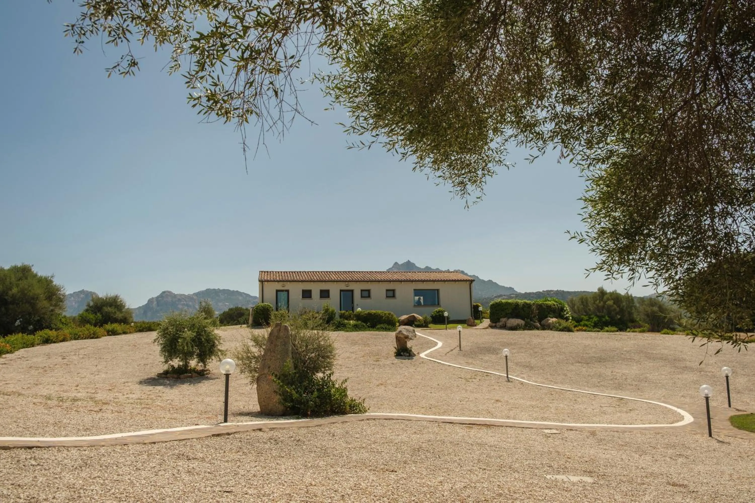 Garden view in B&B Terra e Smeralda
