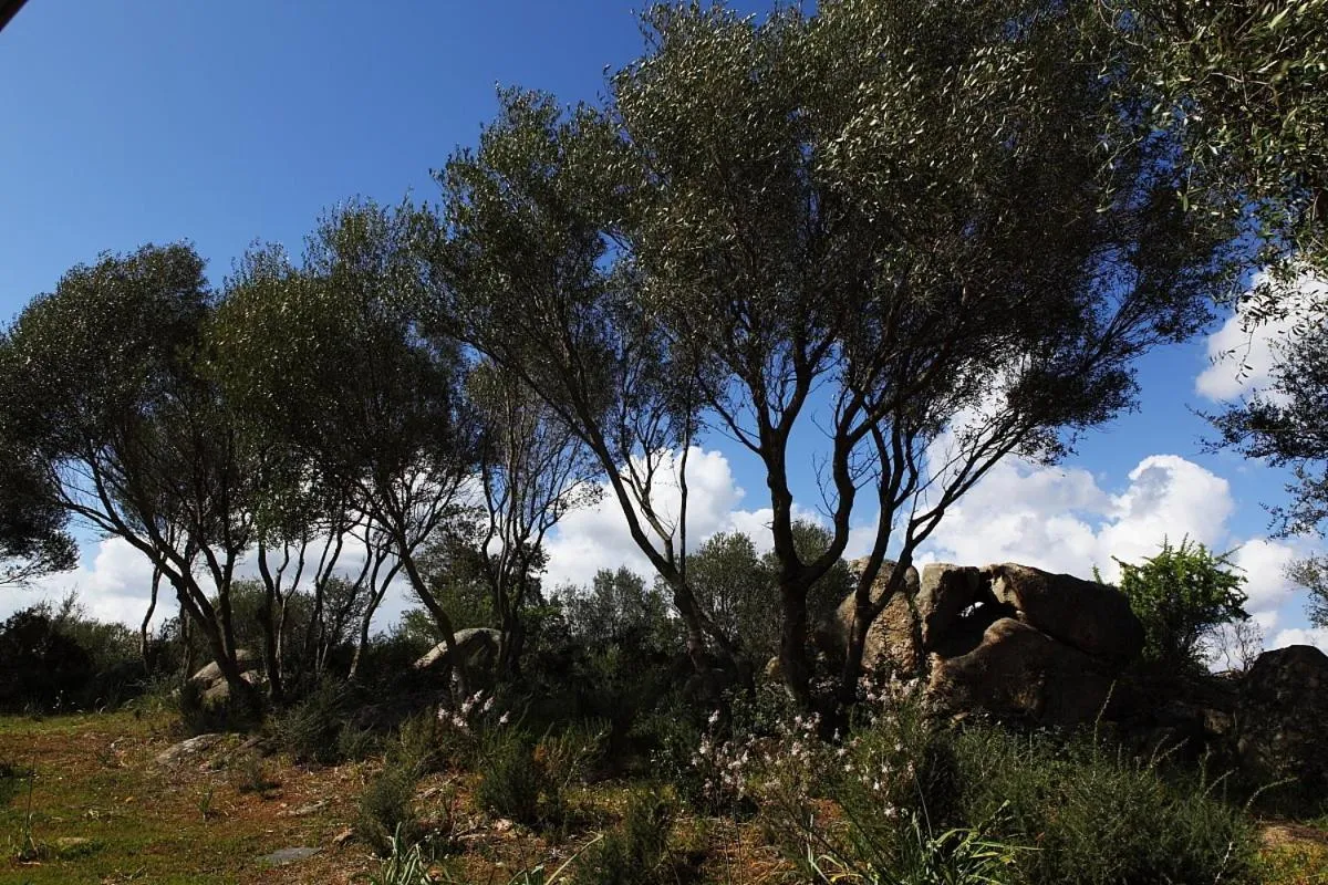 Area and facilities in B&B Terra e Smeralda