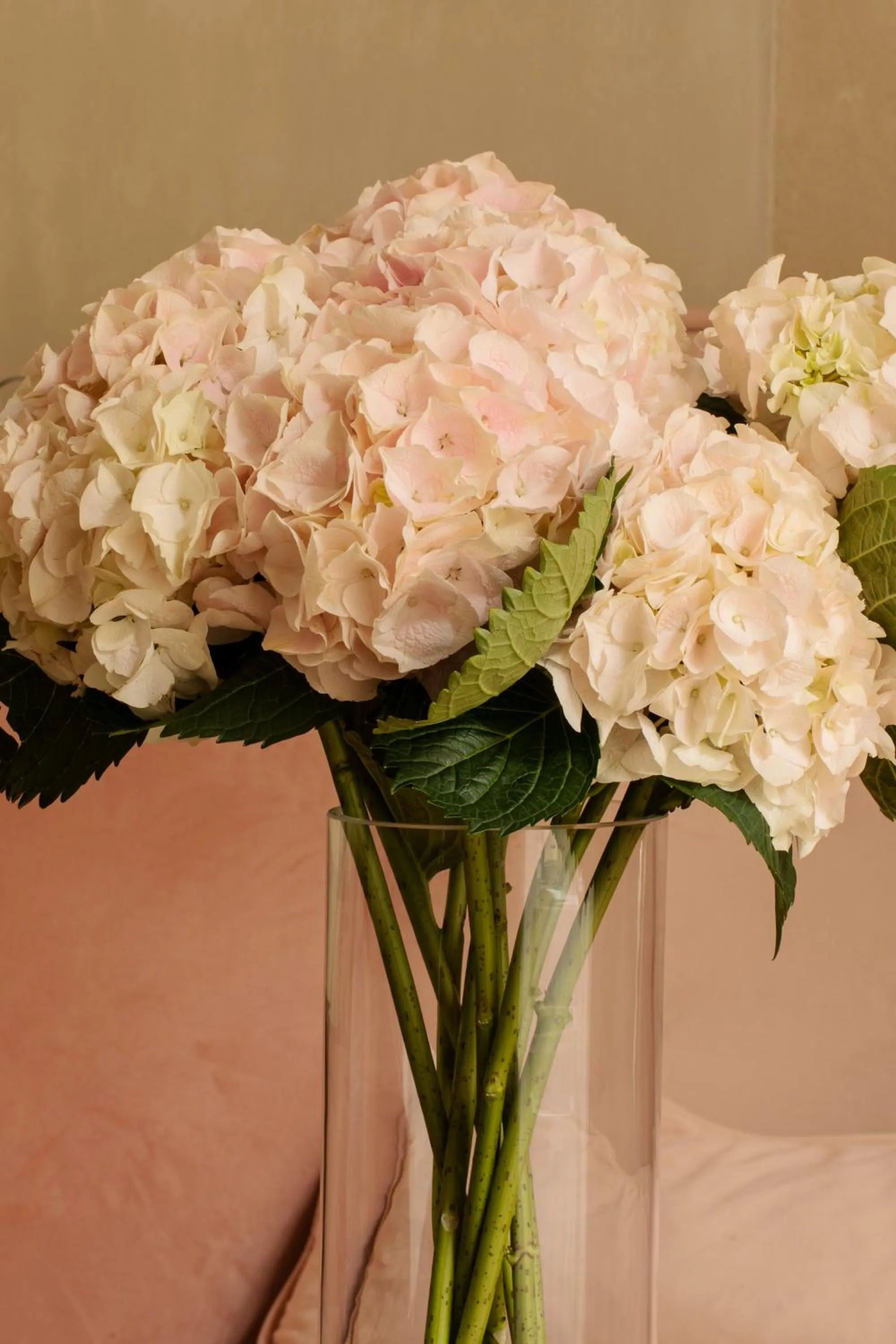 Decorative detail in Hotel Pod Różą