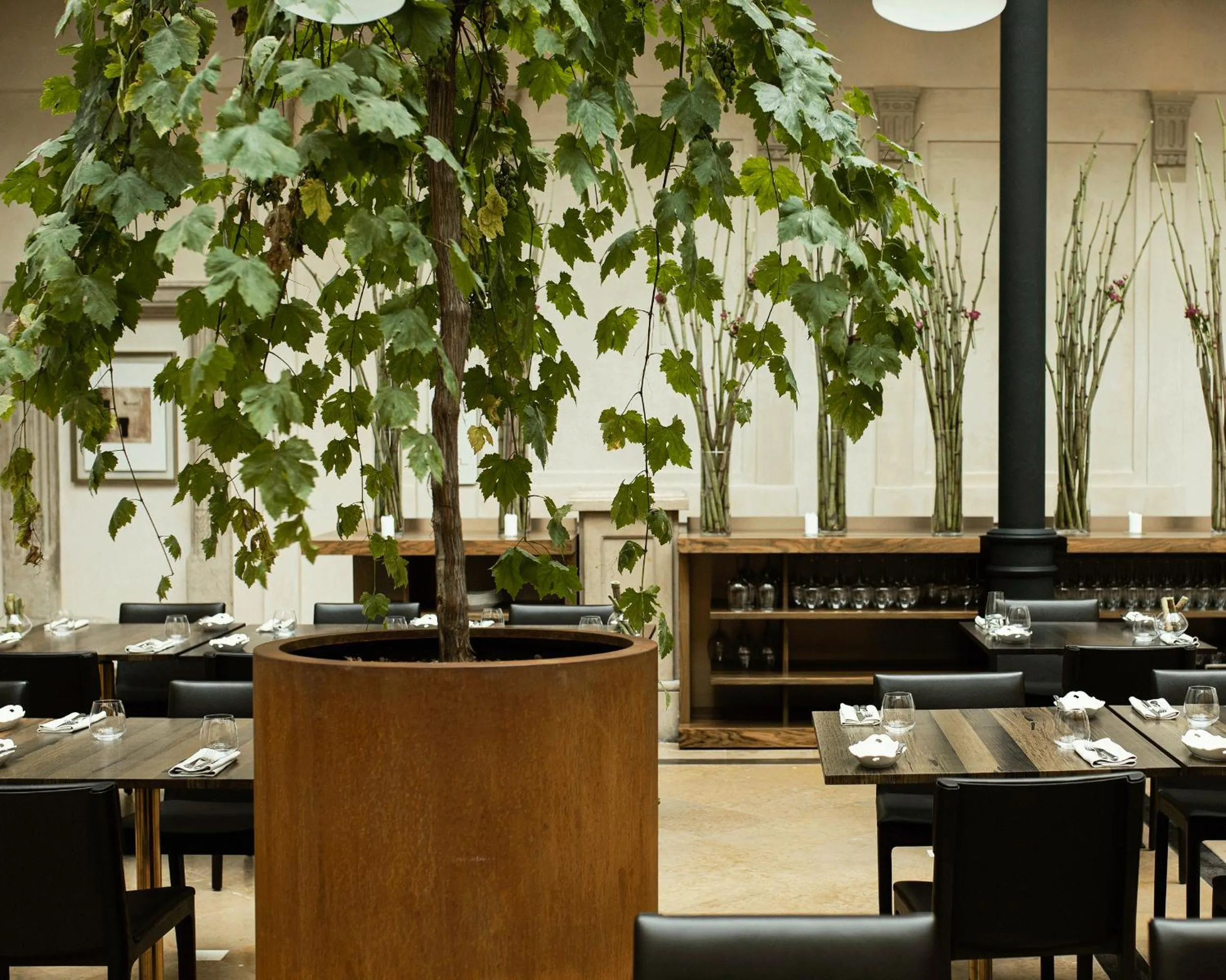 Restaurant/places to eat in Hotel Pod Różą