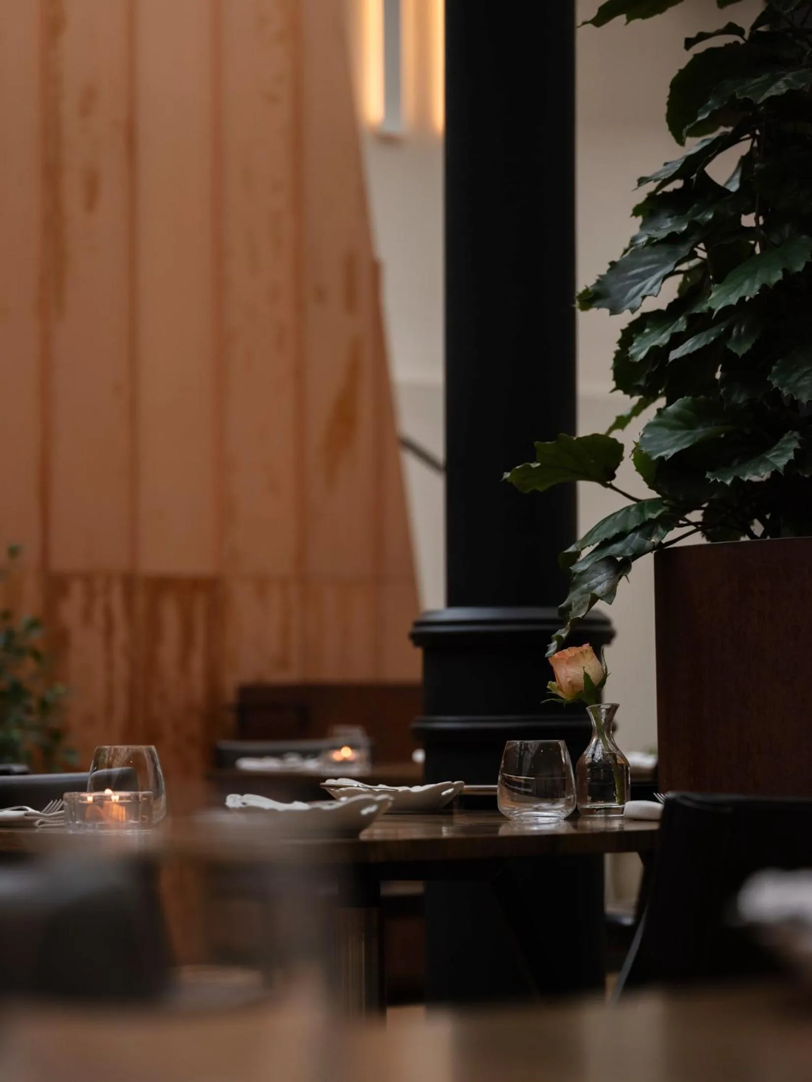 Restaurant/places to eat in Hotel Pod Różą