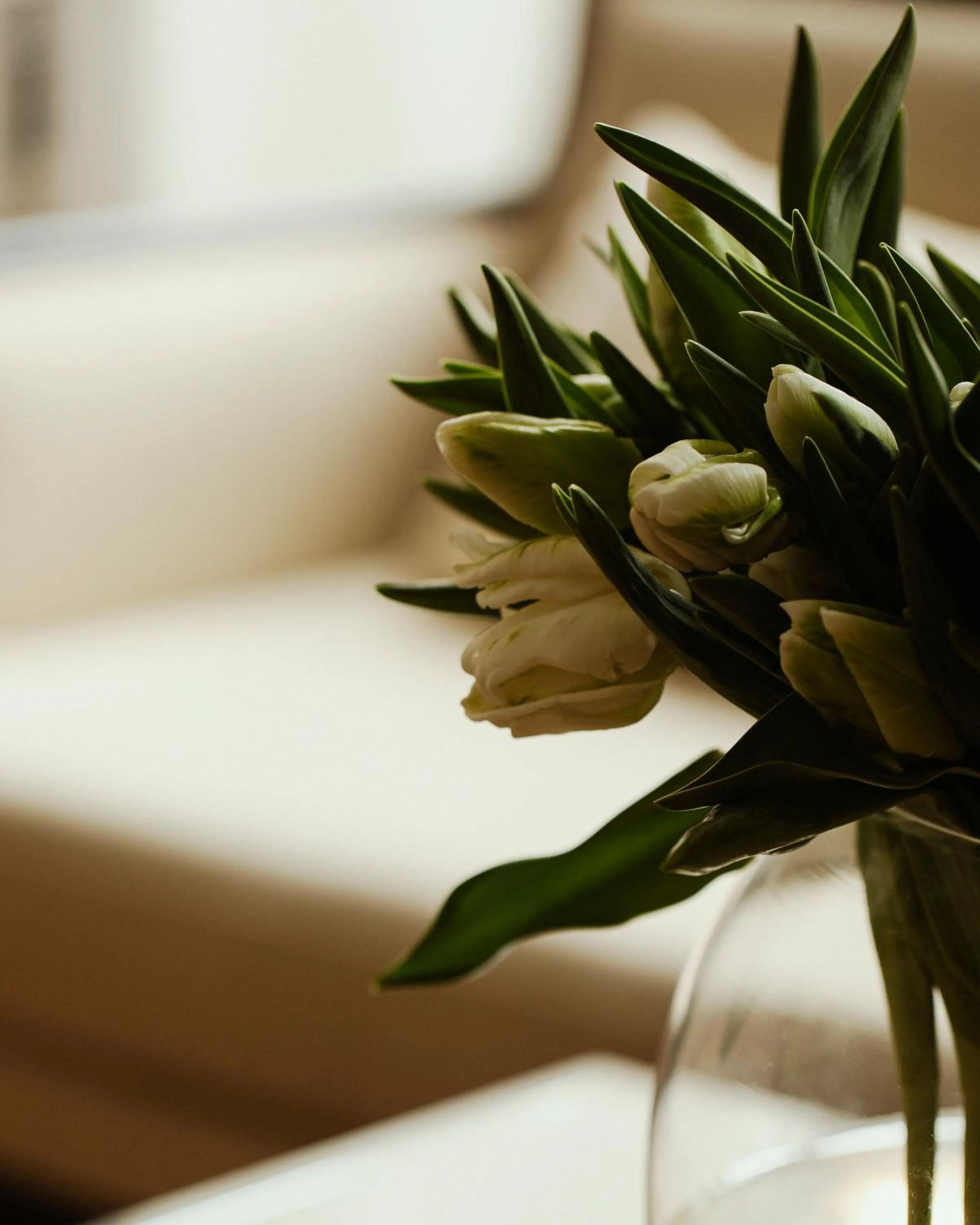 Windsurfing in Hotel Pod Różą