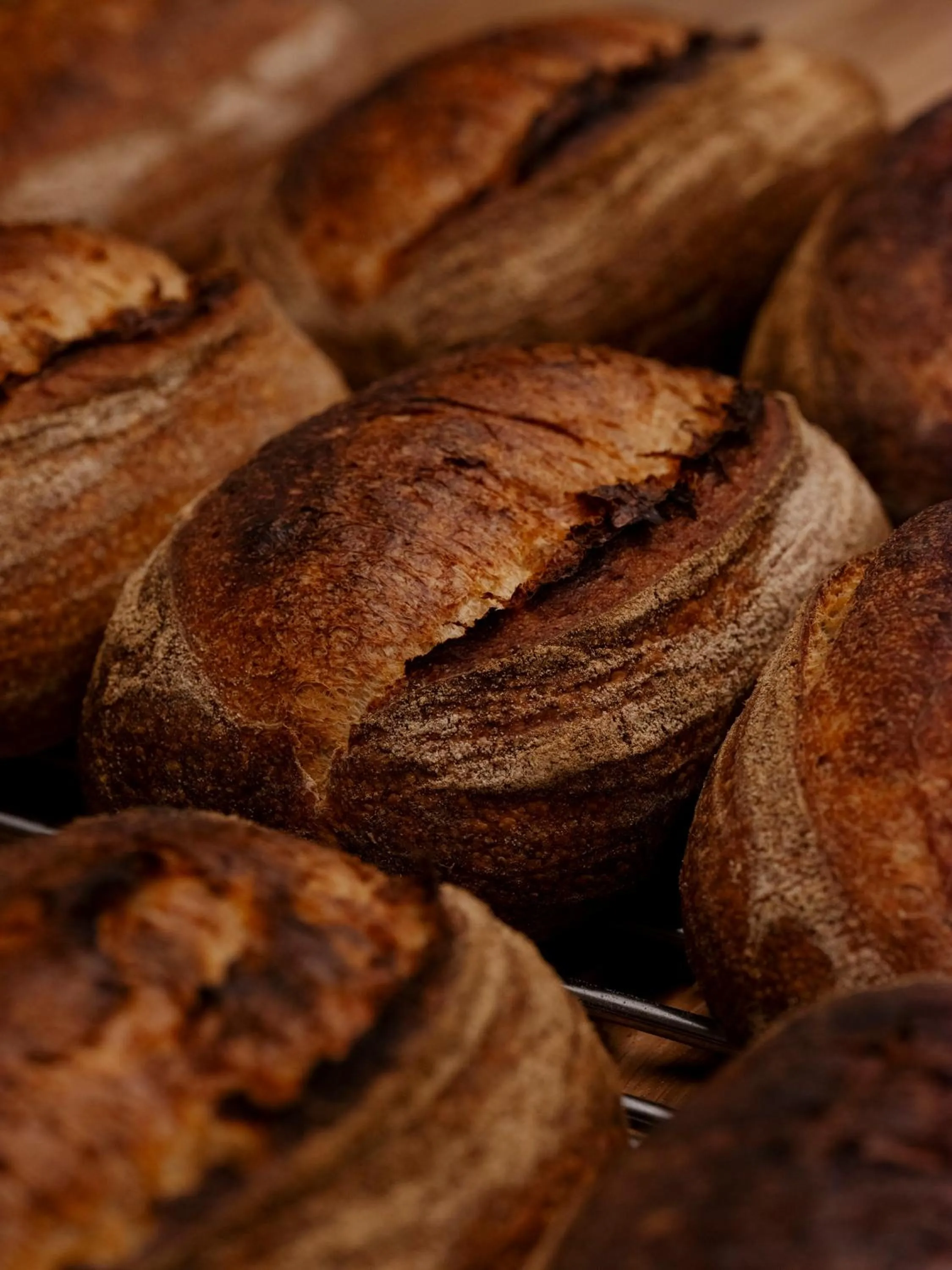 Restaurant/places to eat in Hotel Pod Różą