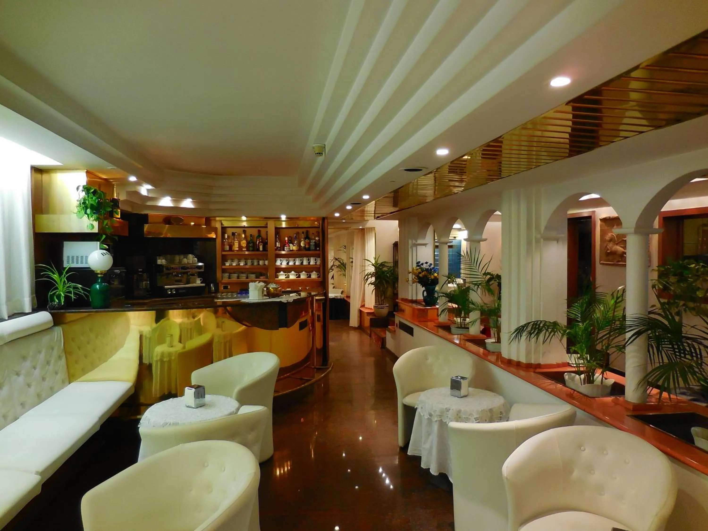 Lounge or bar in Hotel Roma