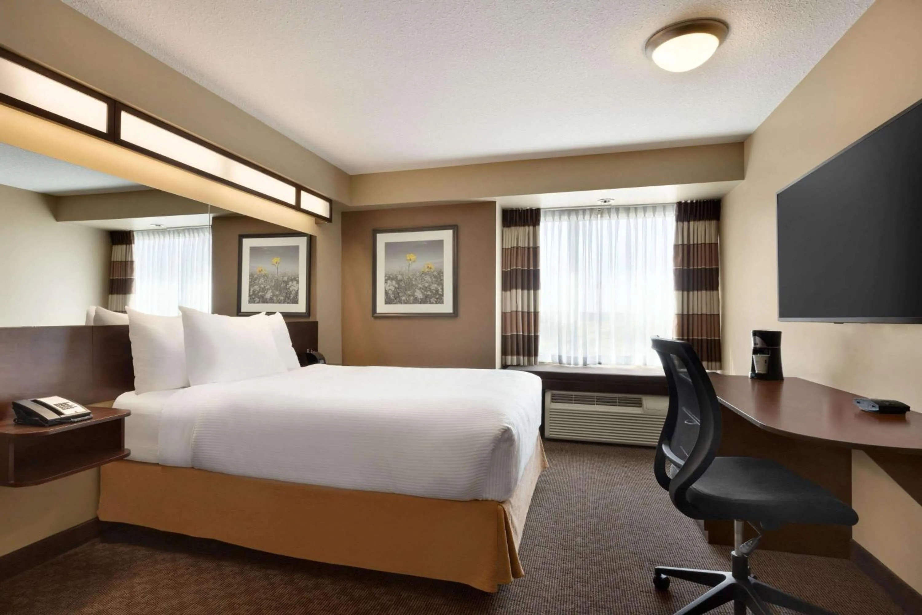 Photo of the whole room, Bed in Microtel Inn and Suites by Wyndham Weyburn