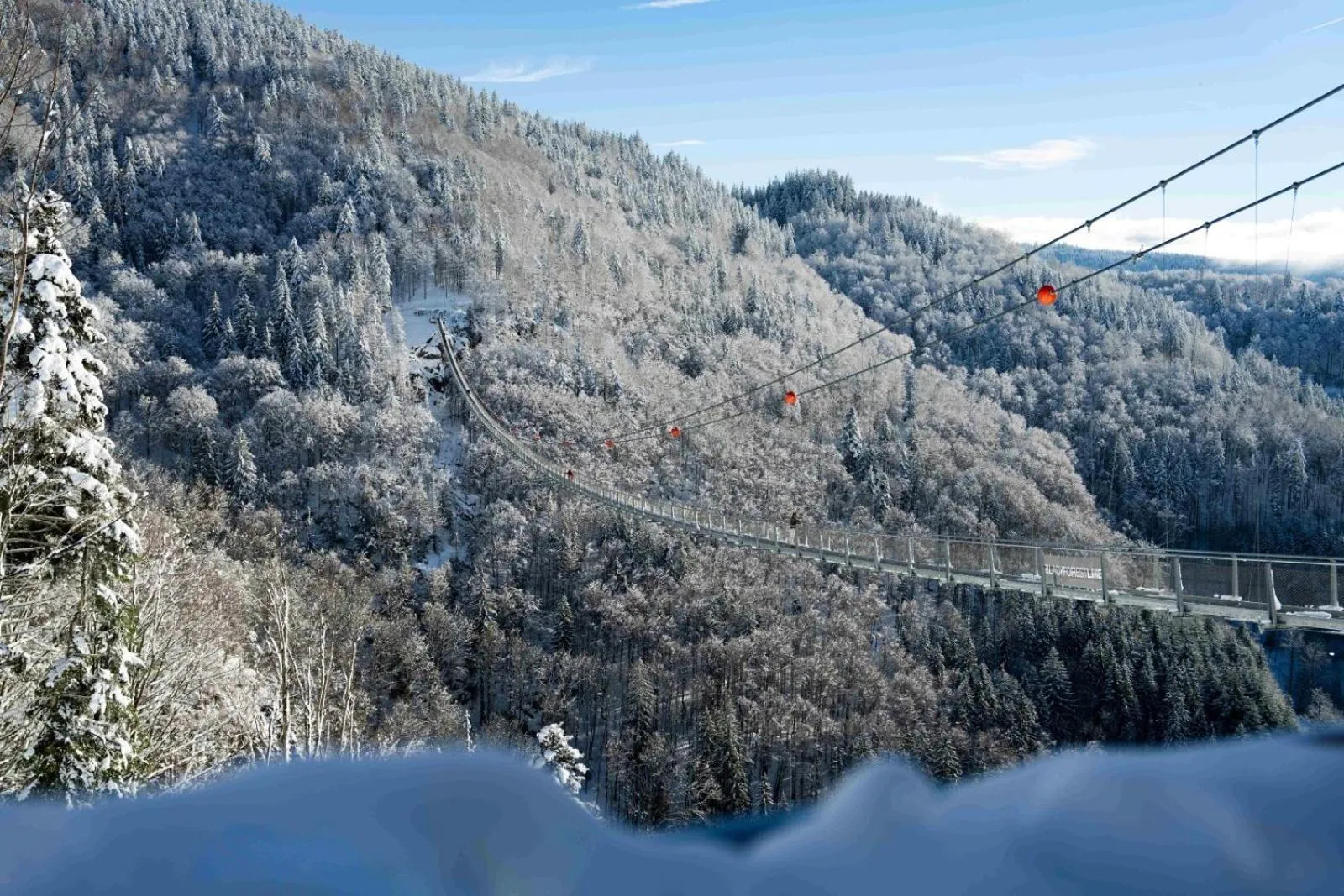 Activities in Black Forest Hotel Todtnau