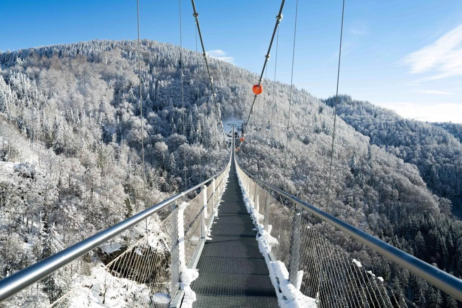 Natural landscape in Black Forest Hotel Todtnau