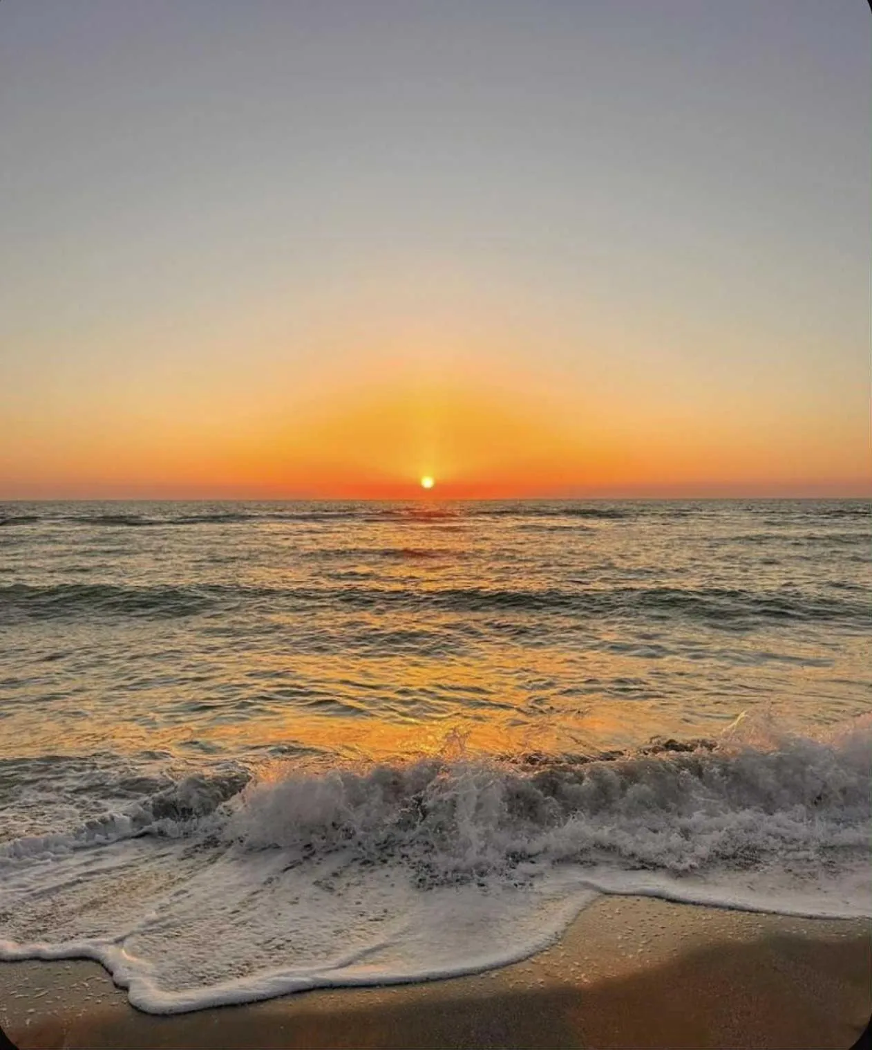 Under The Coconut Tree Hoi An