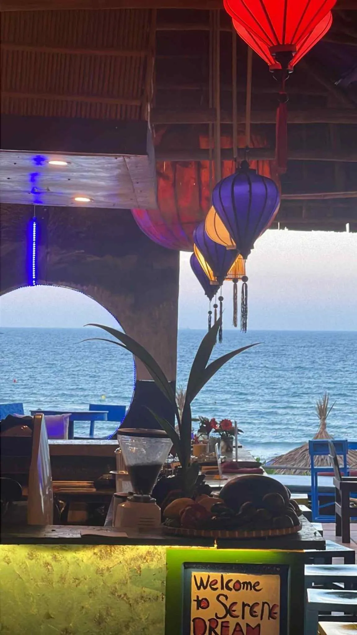 Under The Coconut Tree Hoi An