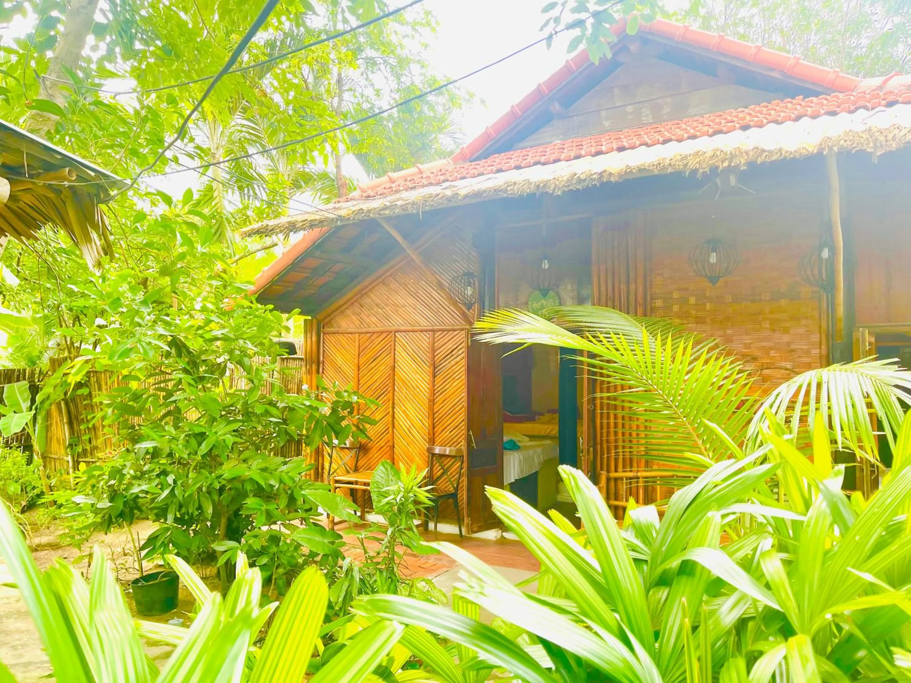 Under The Coconut Tree Hoi An