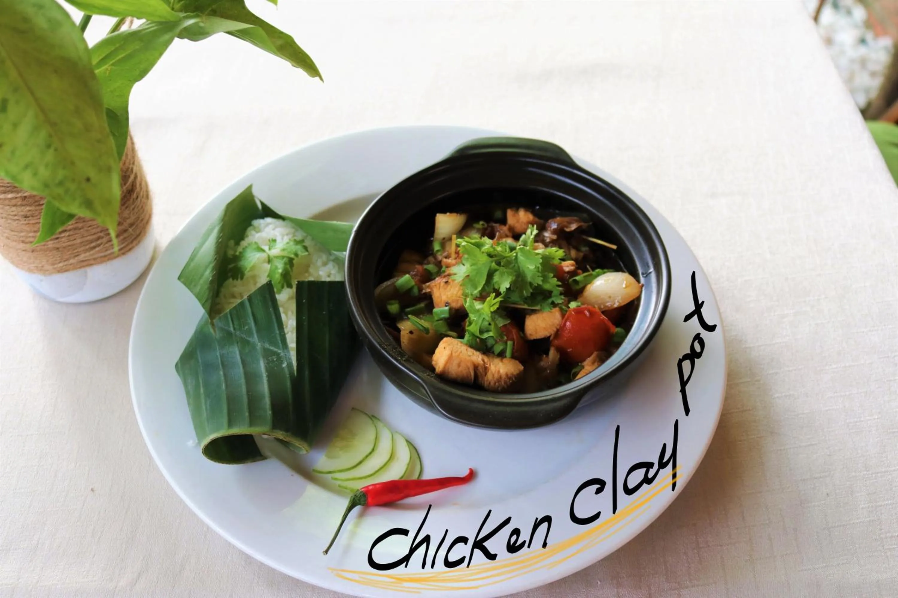 Under The Coconut Tree Hoi An