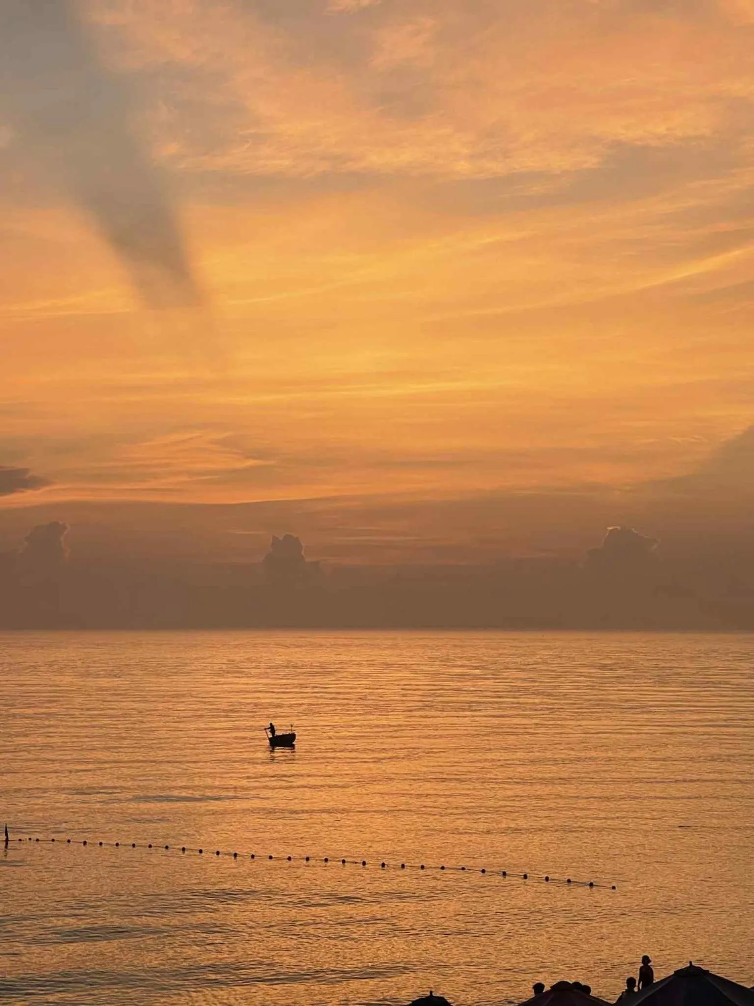 Under The Coconut Tree Hoi An