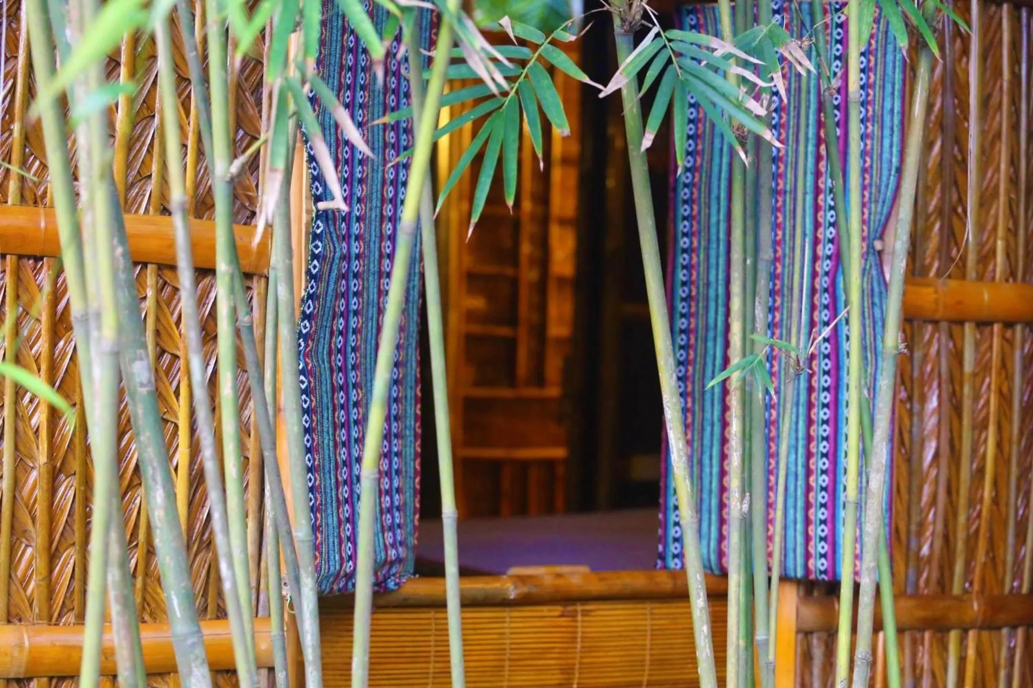 Under The Coconut Tree Hoi An