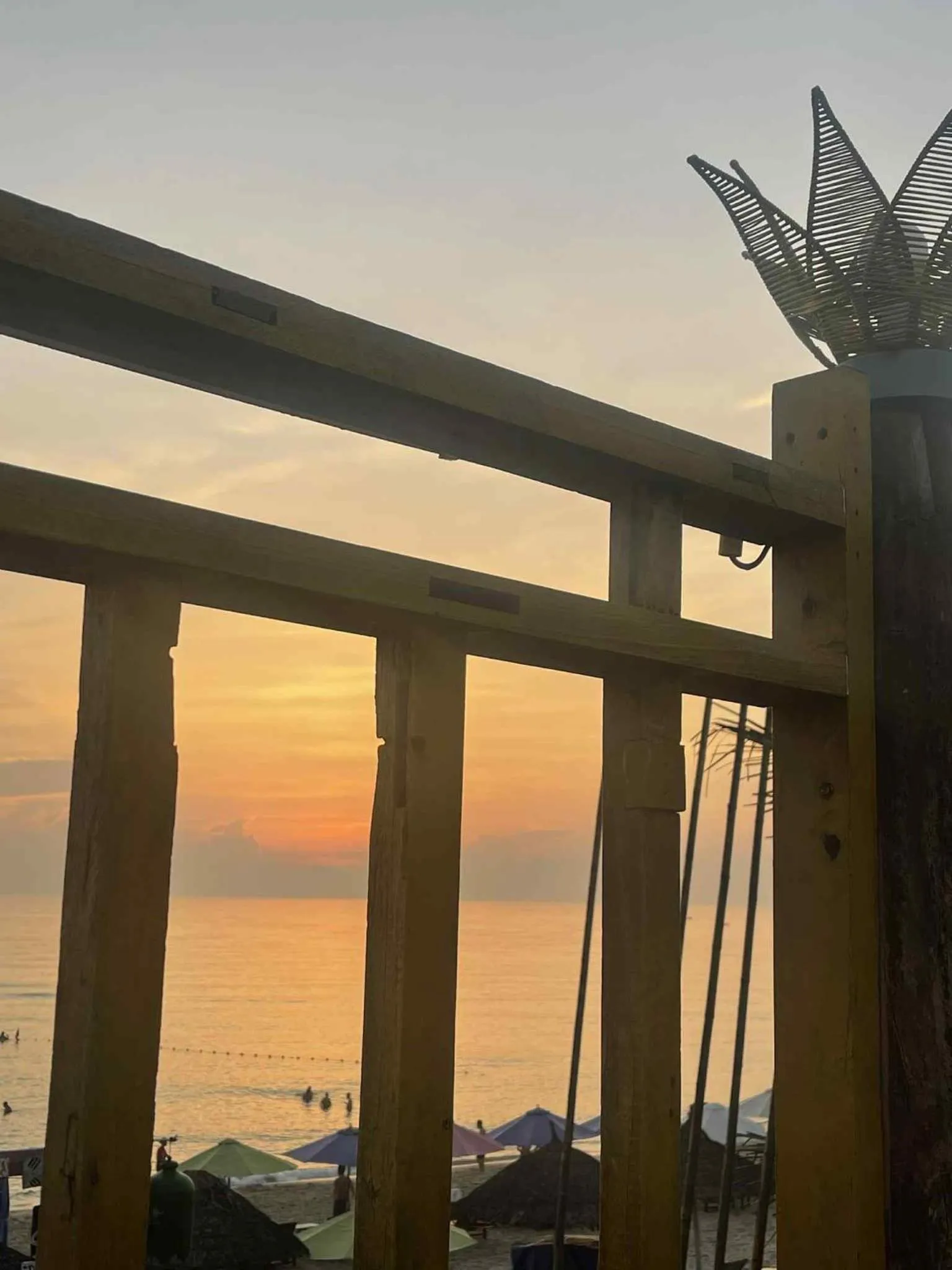 Under The Coconut Tree Hoi An