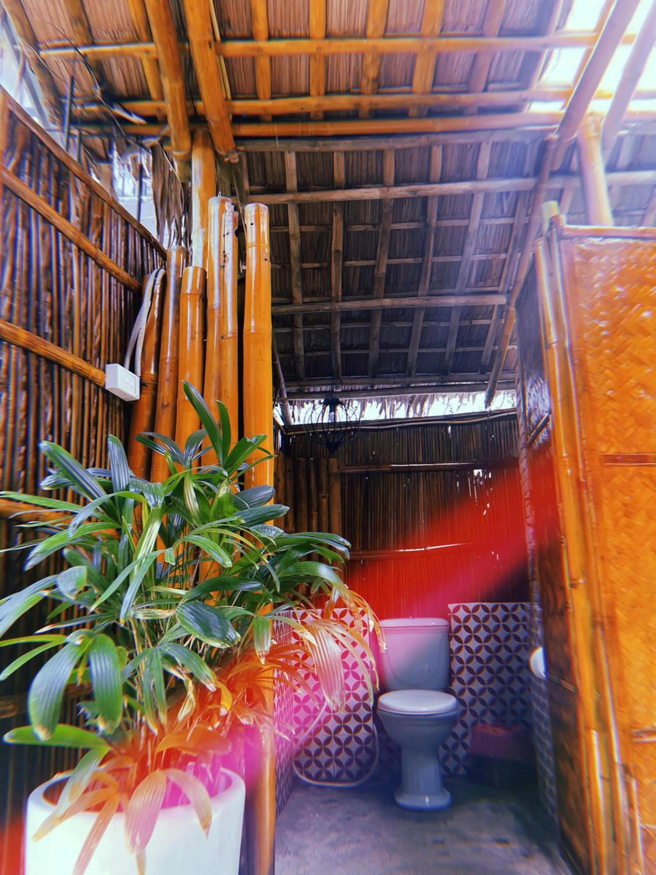 Under The Coconut Tree Hoi An