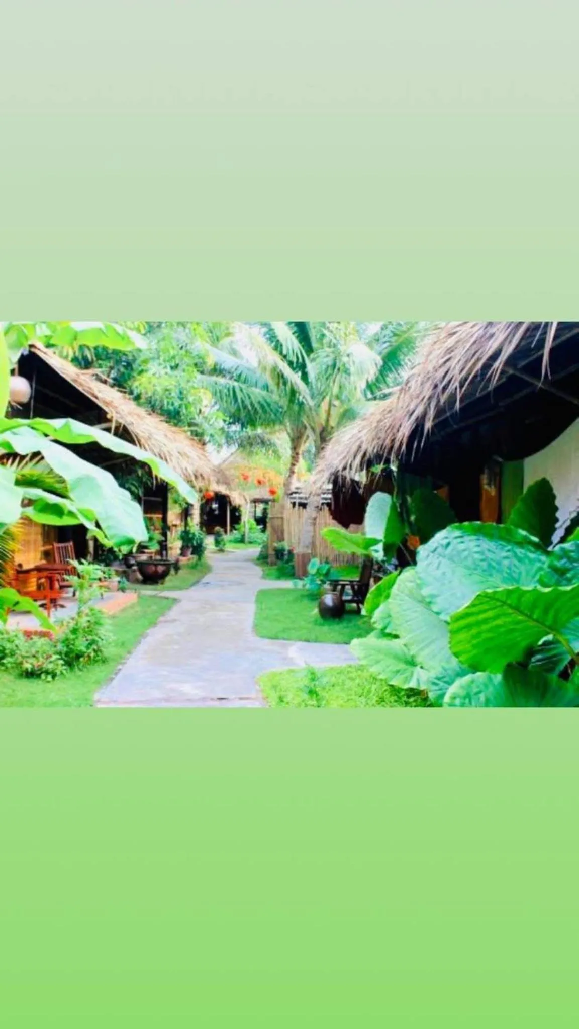 Under The Coconut Tree Hoi An