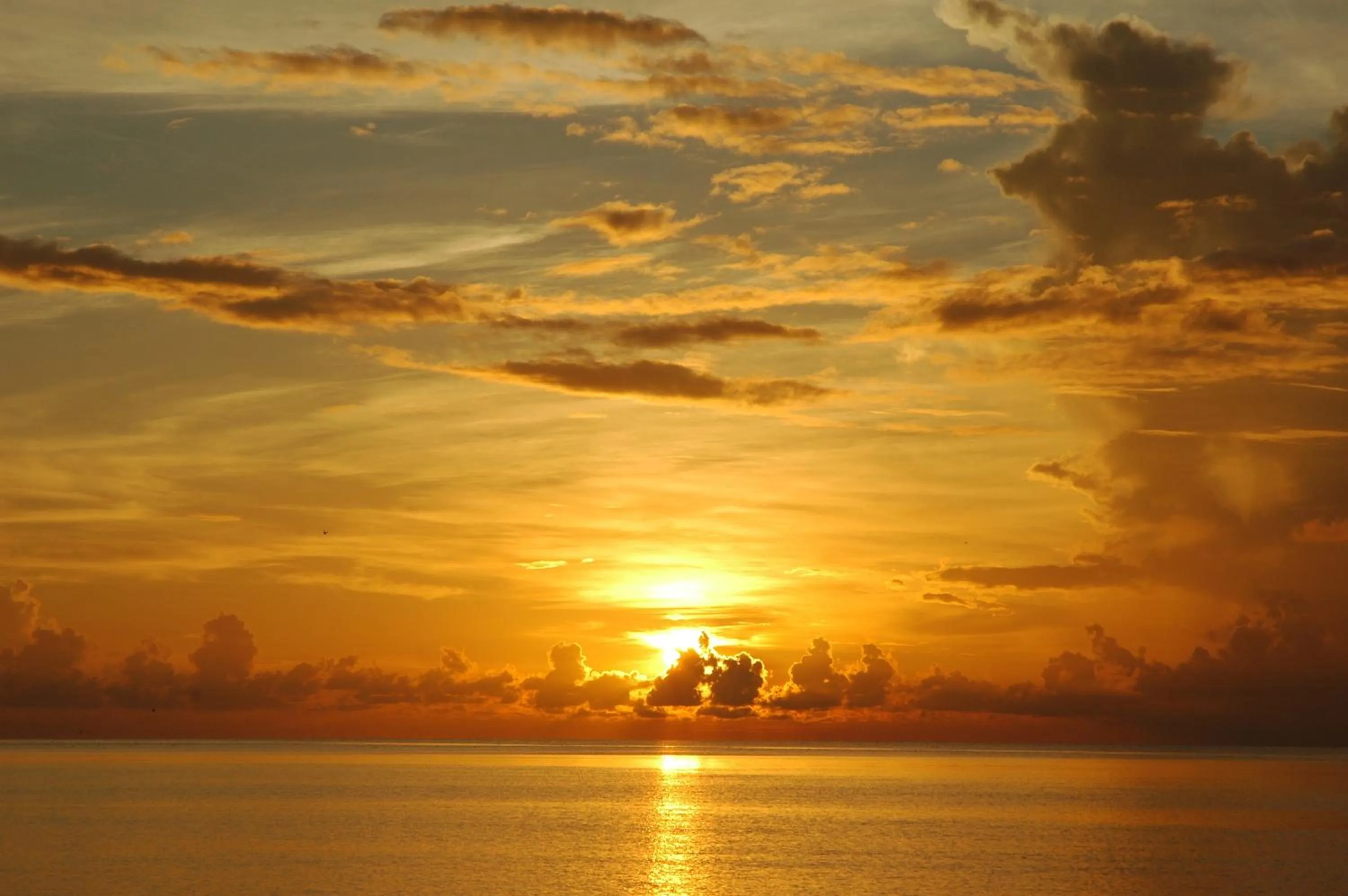 Area and facilities in Hotel Felda Residence Sahabat