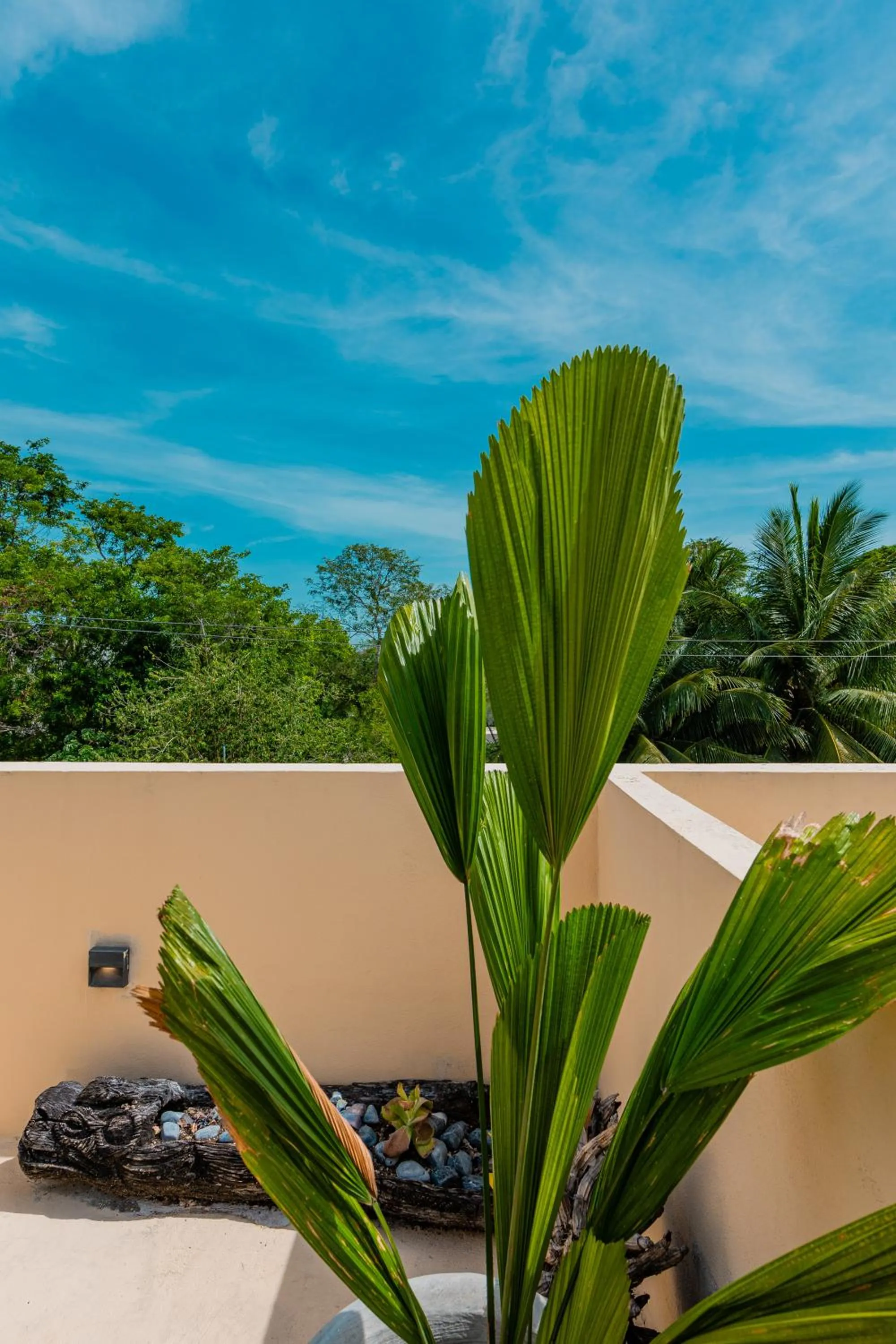 Property building in Alma de Zorro