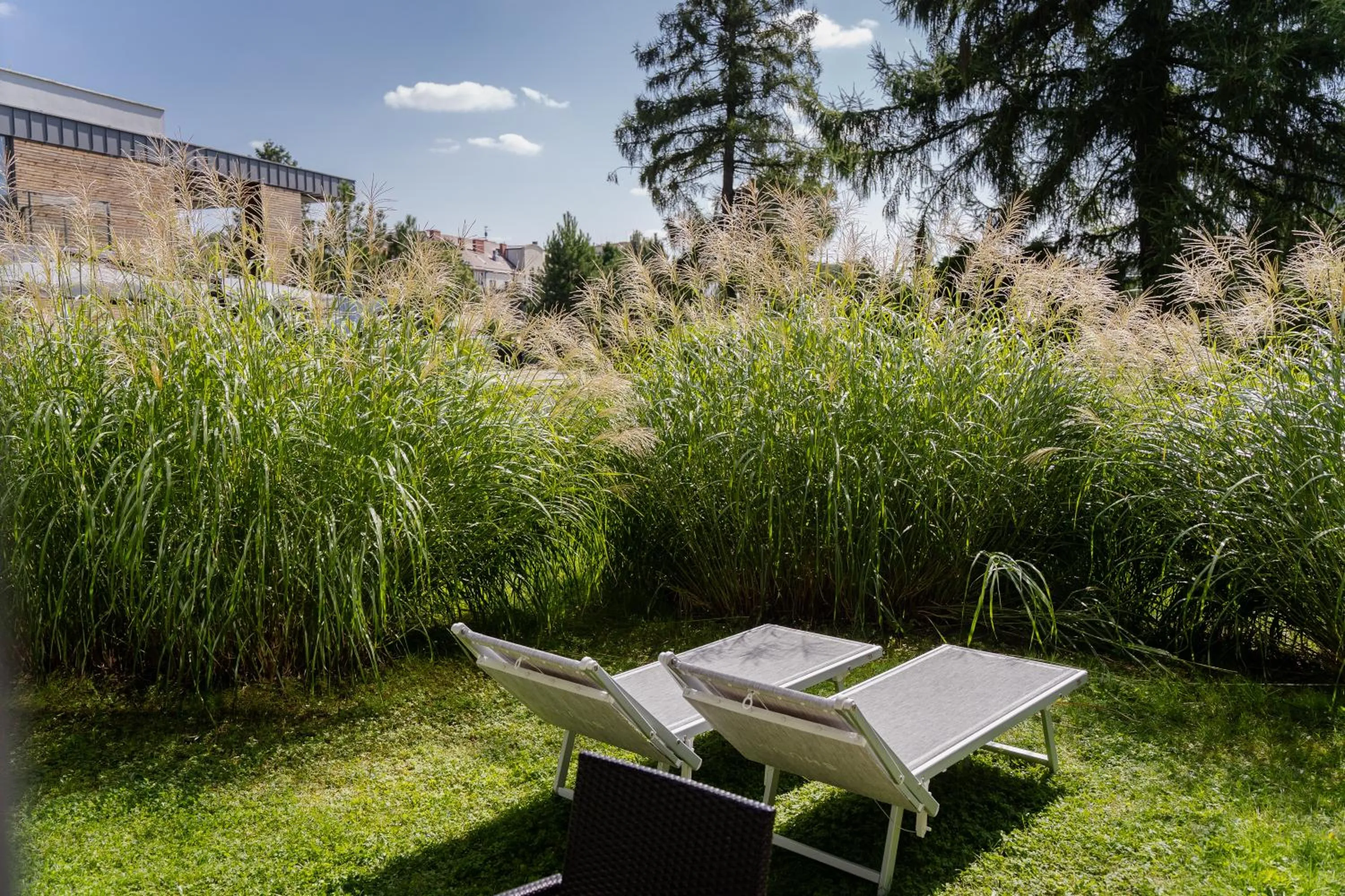 Spring in Hotel Shuum Boutique - Destigo Hotels