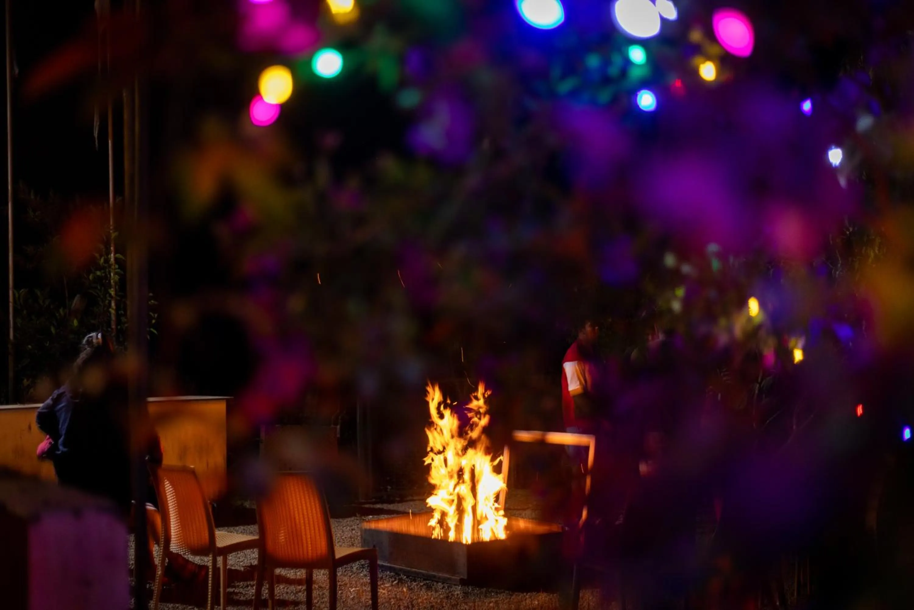 Food and drinks in Eterno Camellia & Elettaria Resort with Pool