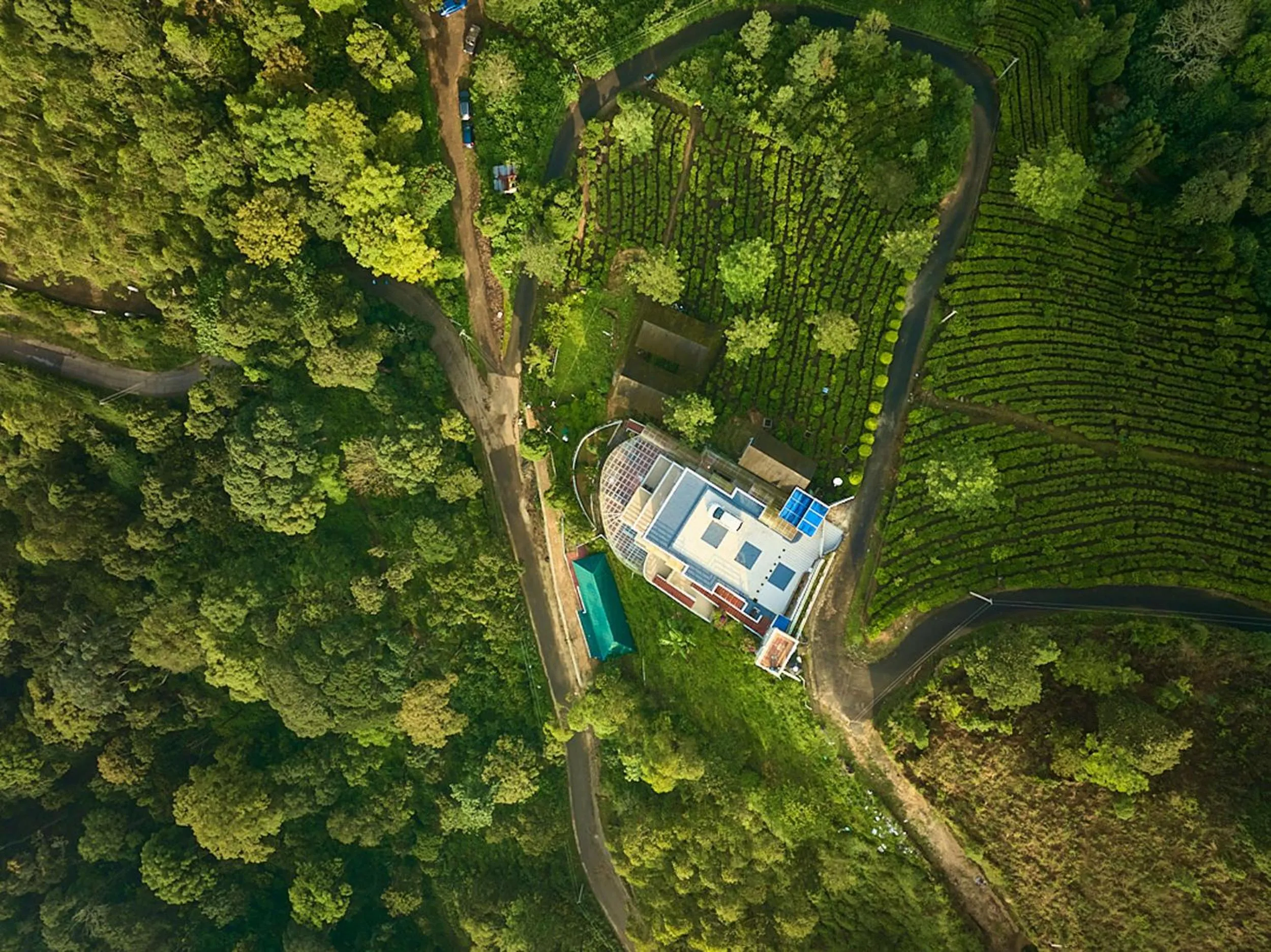 Eterno Camellia & Elettaria Resort with Pool