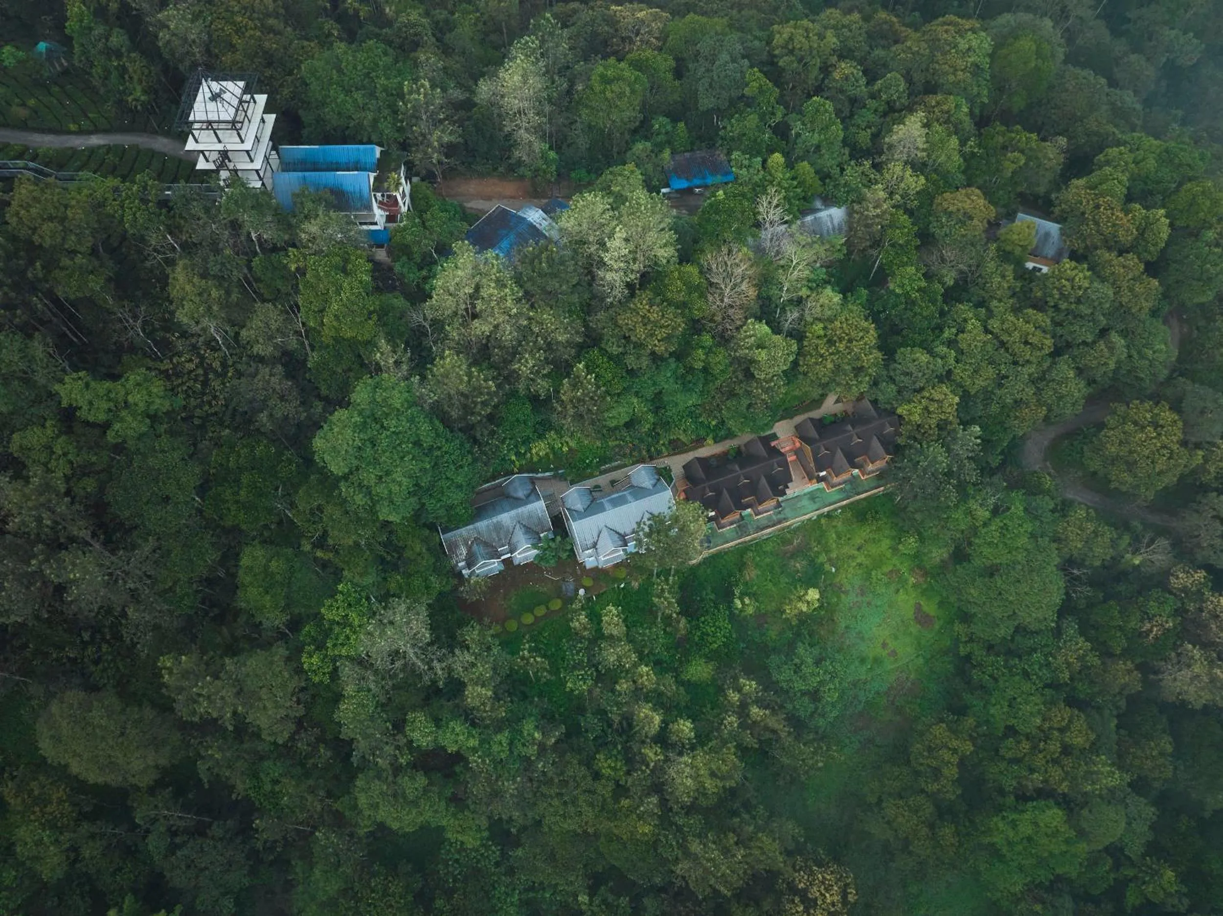 Eterno Camellia & Elettaria Resort with Pool