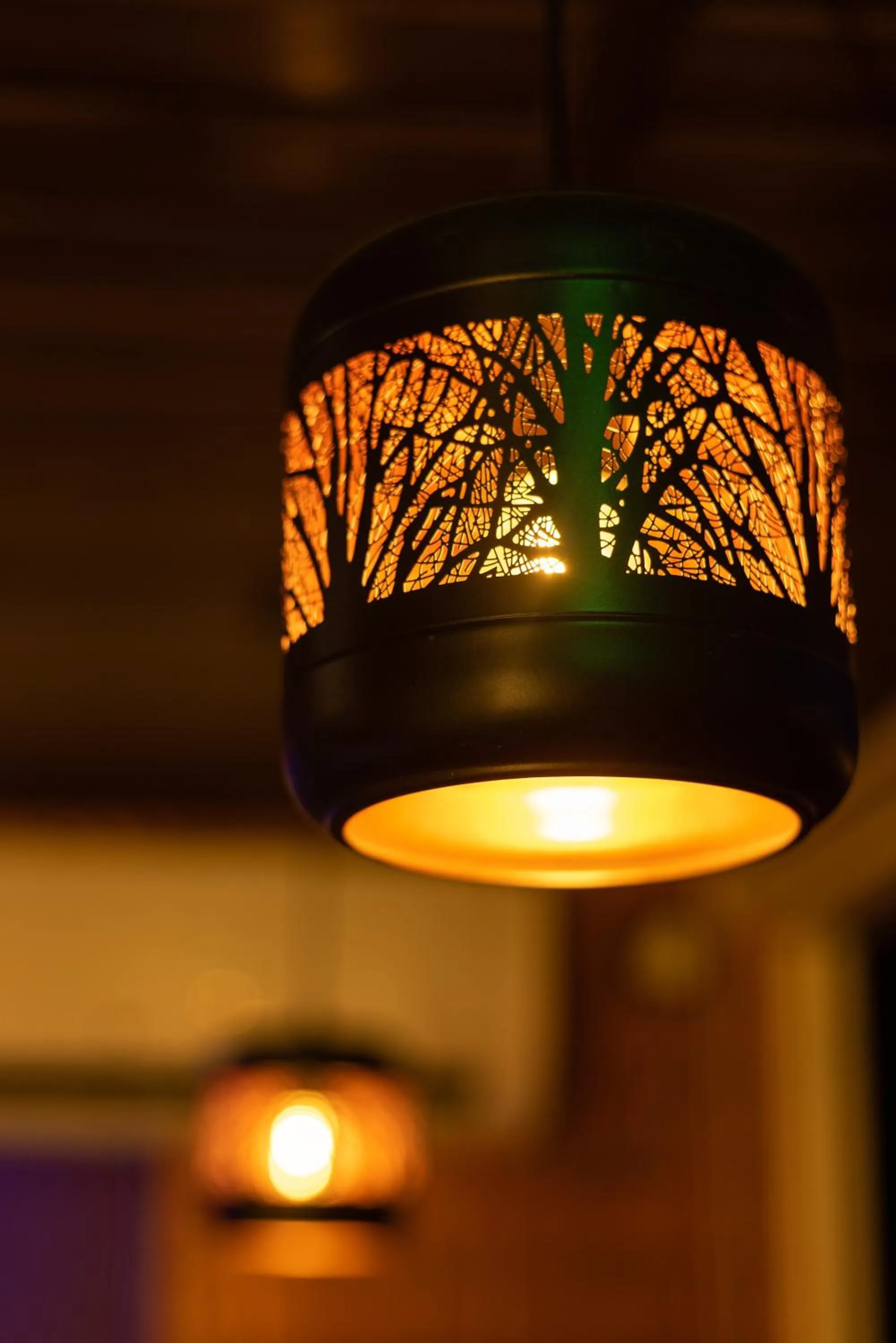 Restaurant/places to eat in Eterno Camellia & Elettaria Resort with Pool